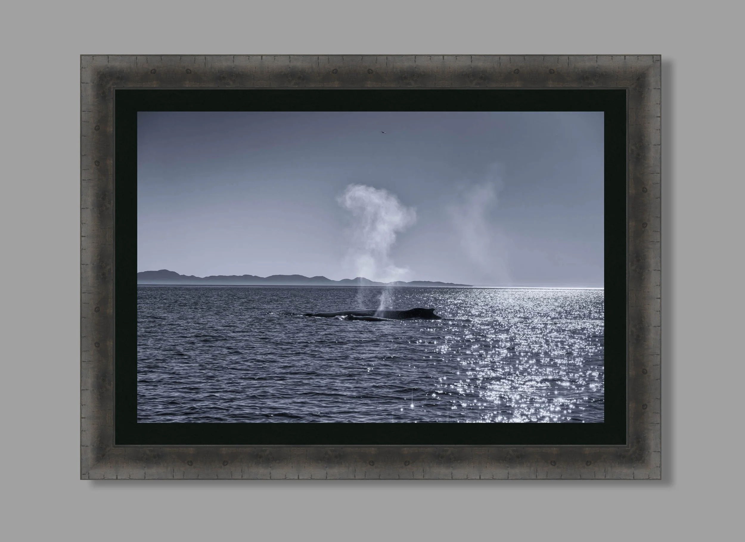 Morning Breath charcoal hung.jpg