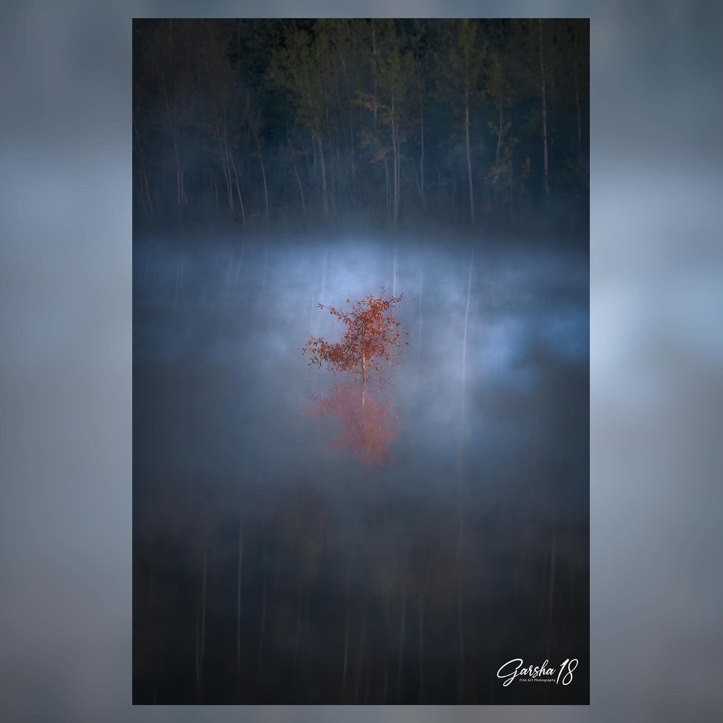 Isolation&hellip;&hellip;returned to this lone tree growing in a lake day after day until finally the conditions were right&hellip;..fog covering the surface of the water but not obscuring the brilliant red leaves. A beautiful scene well worth the wa