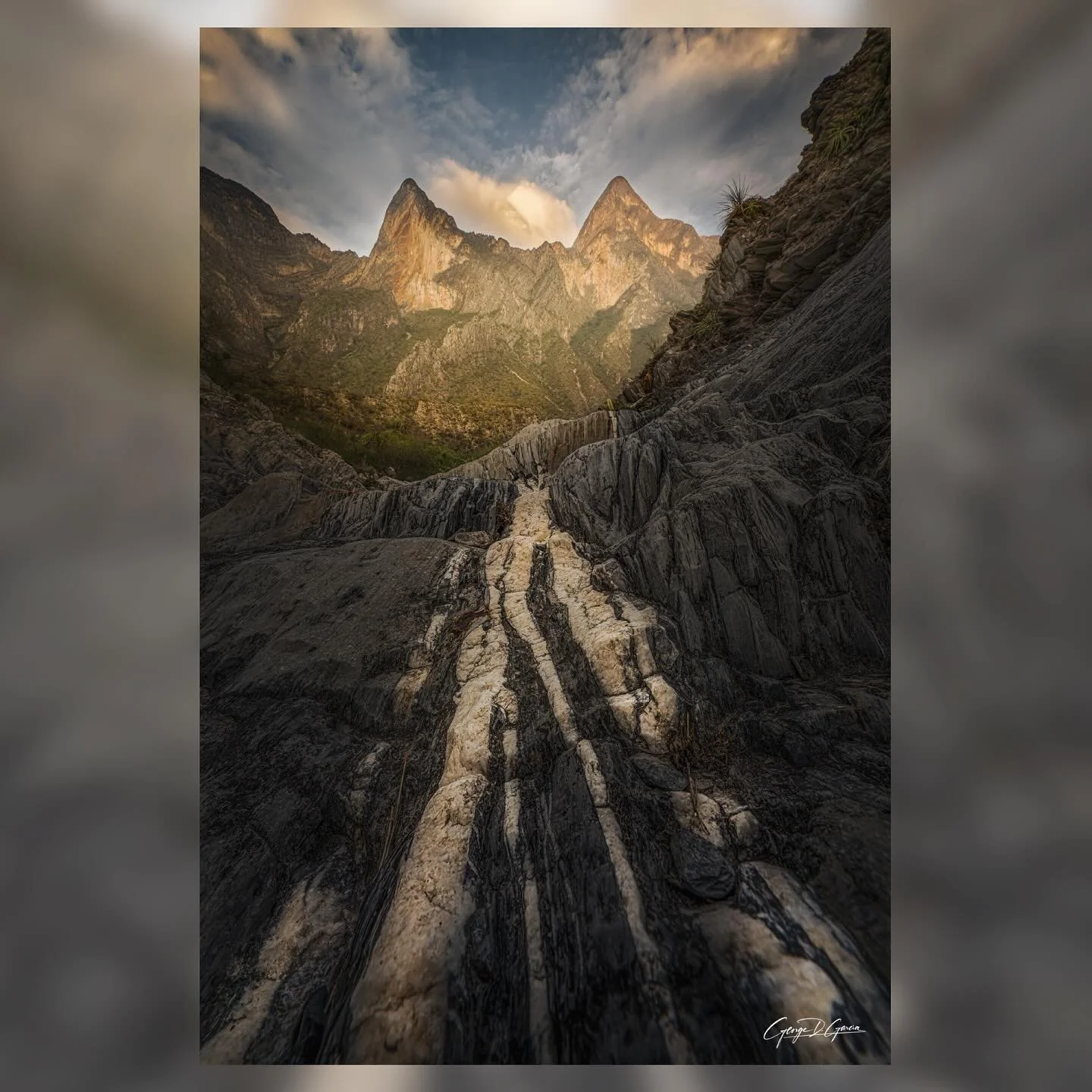 Teiwari Xapawiyeme - The Birthplace of the World

The Huichol people believe this is the birthplace of the world. These mountains rose from the very breath of the first dawn. Their jagged form stands like ancient witness, etched by the slow hands of 