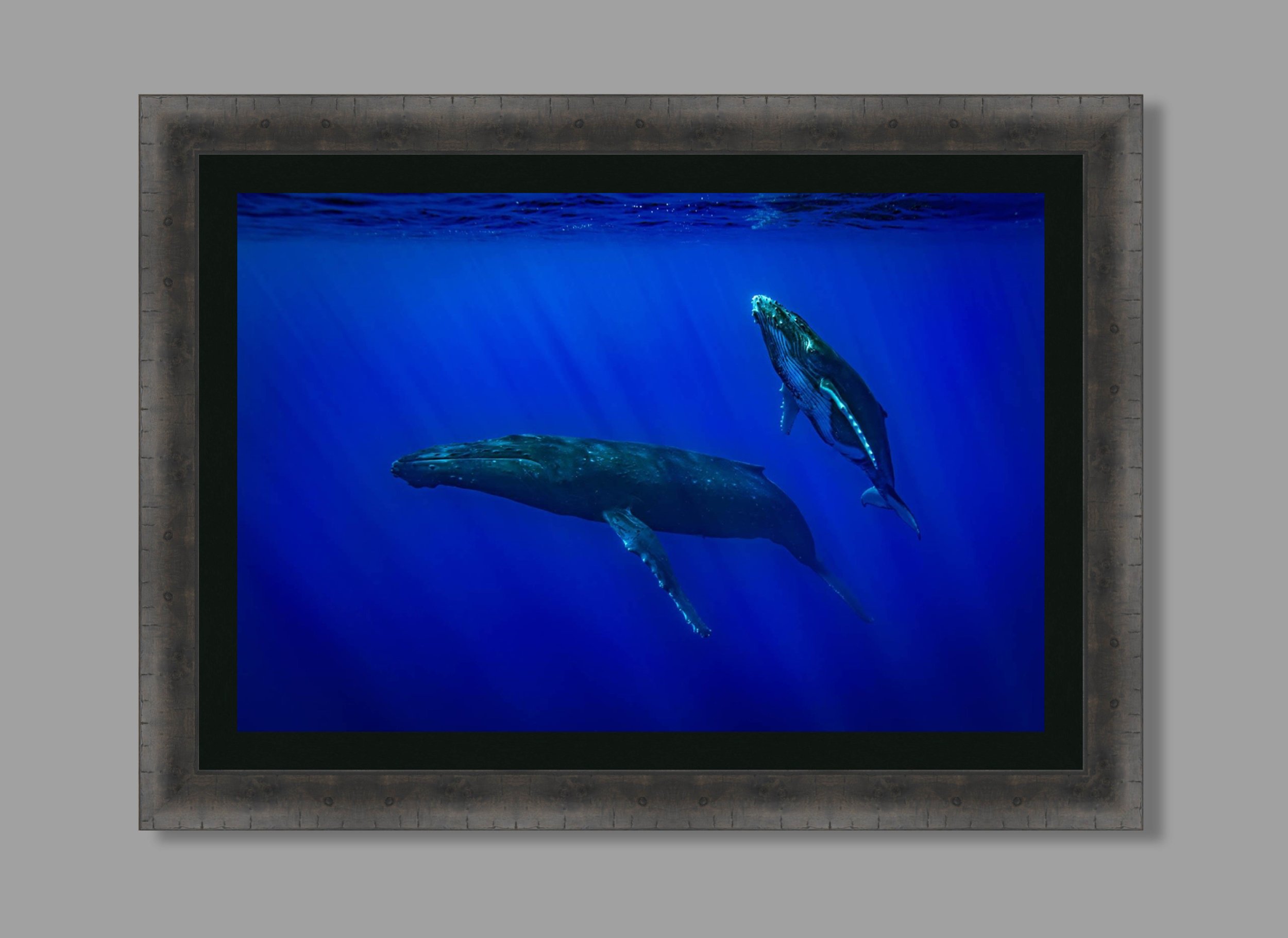 Surface Bound charcoal hung.jpg