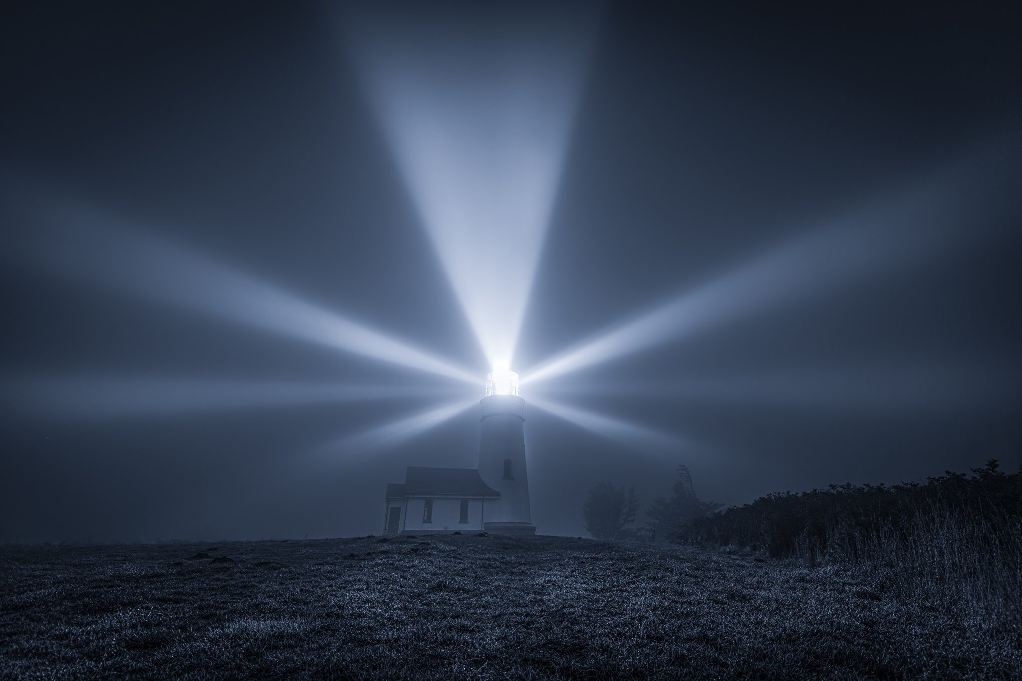 Light the Way.jpg