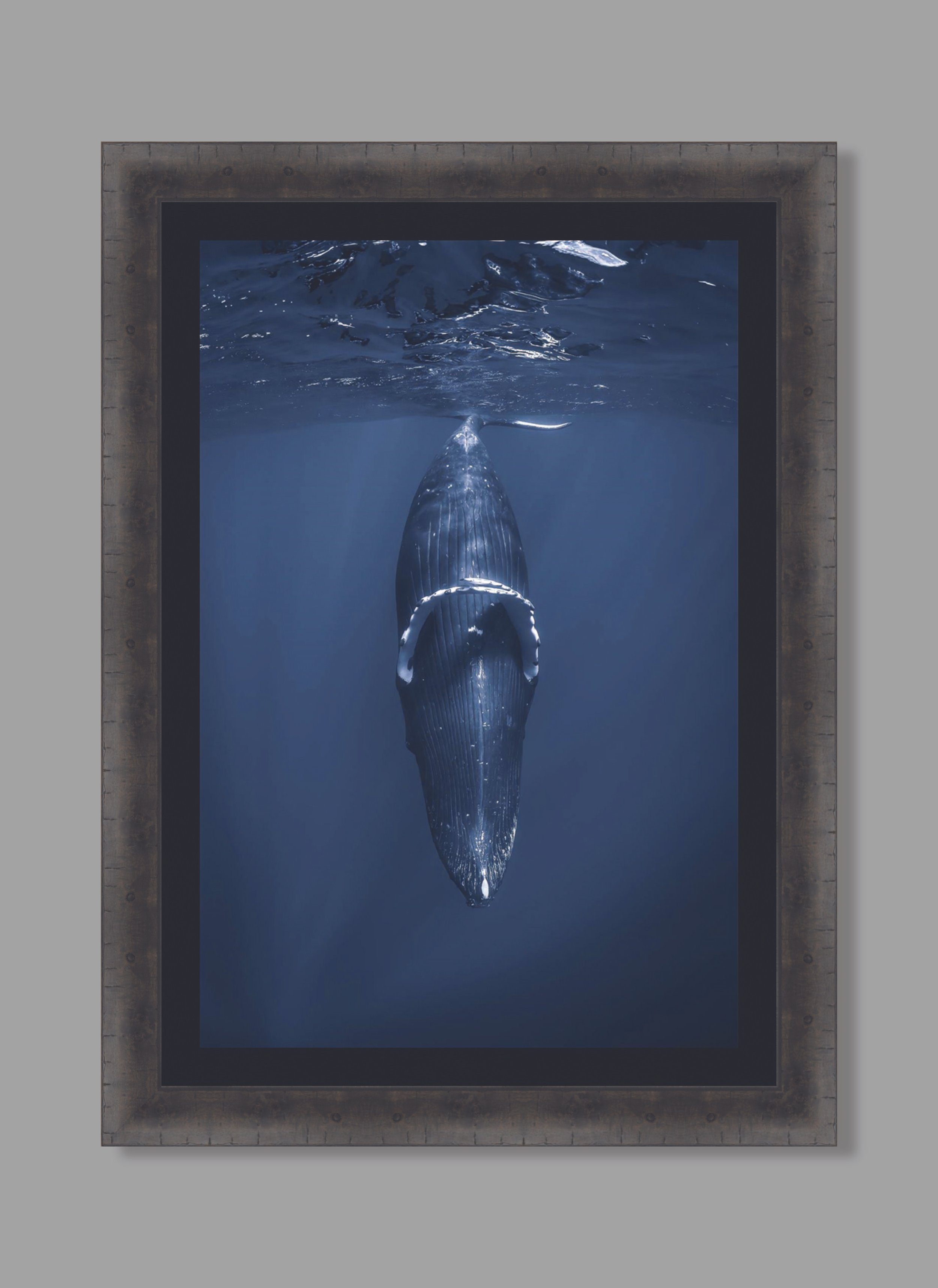 Pensive charcoal hung.jpg