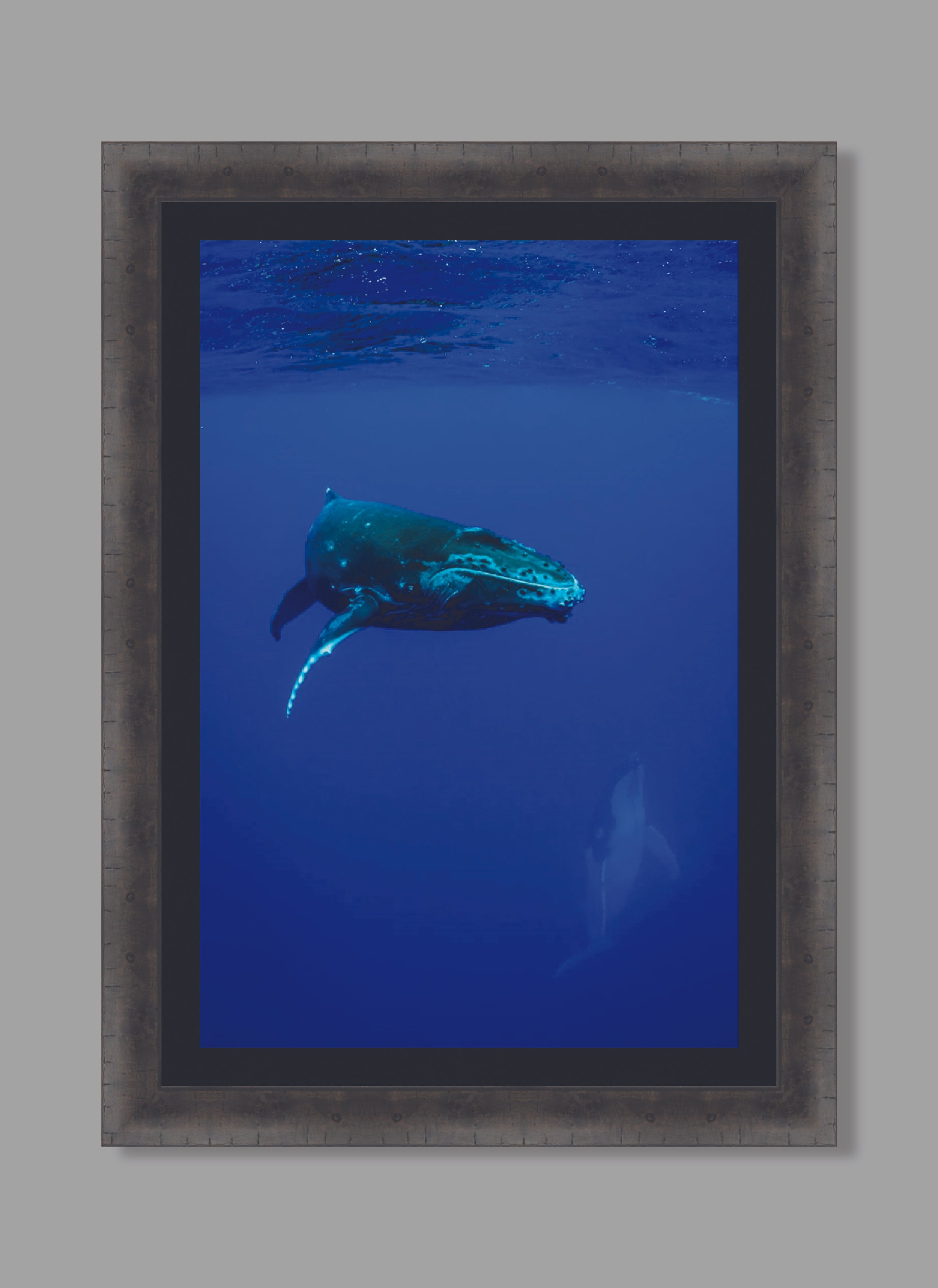 Curious charcoal hung.jpg