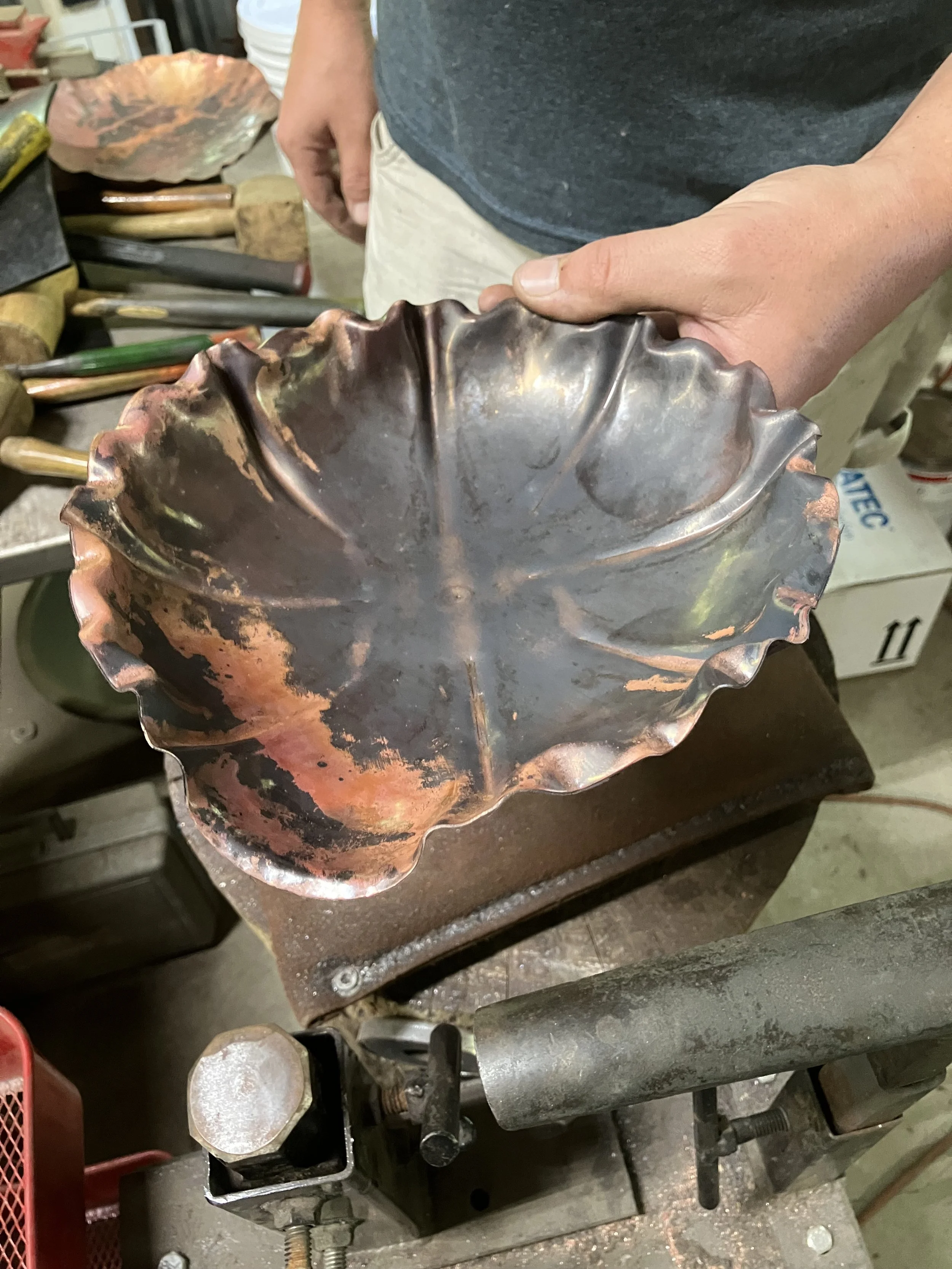 Dan's bowl