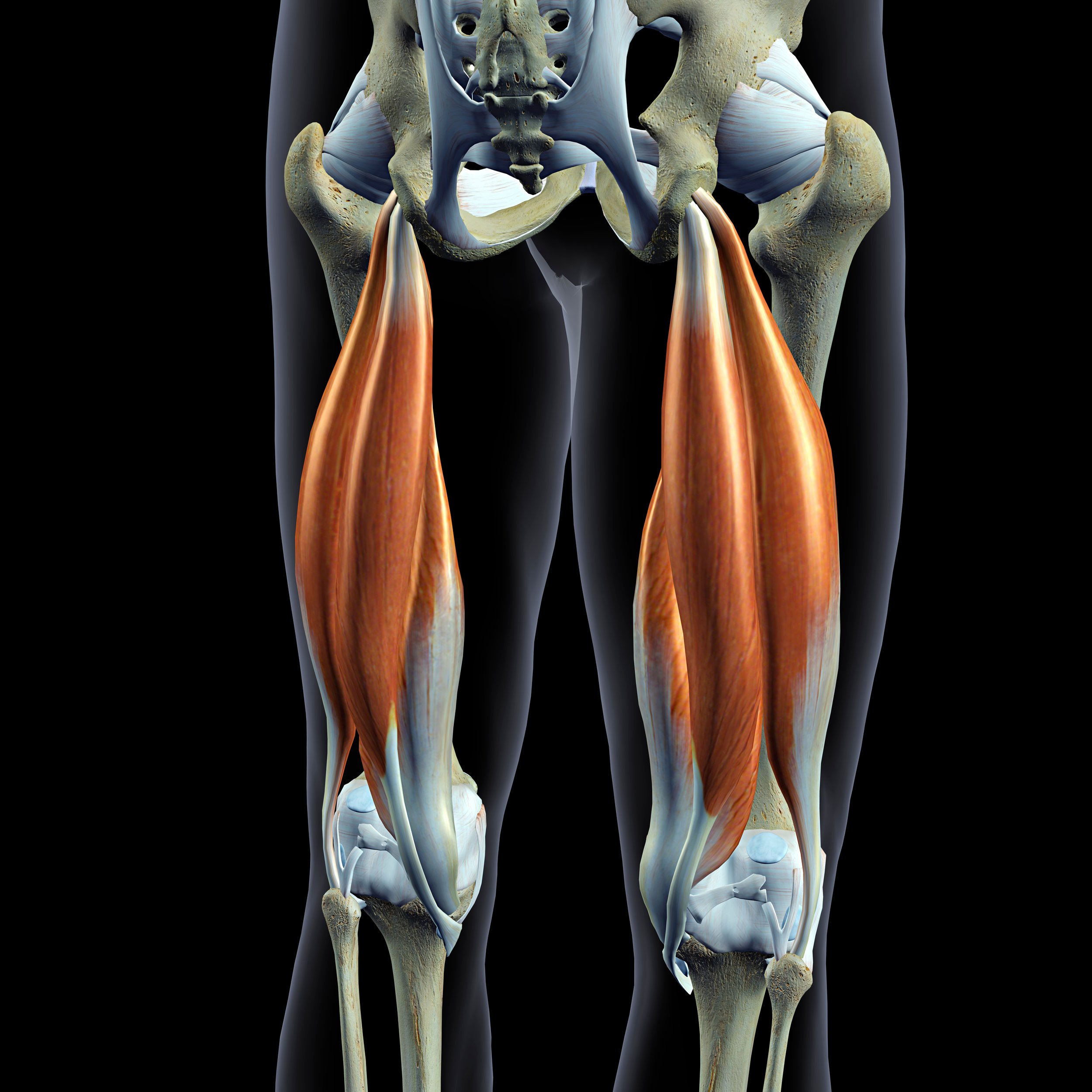 Hamstrings: Strength, rehab, and speed