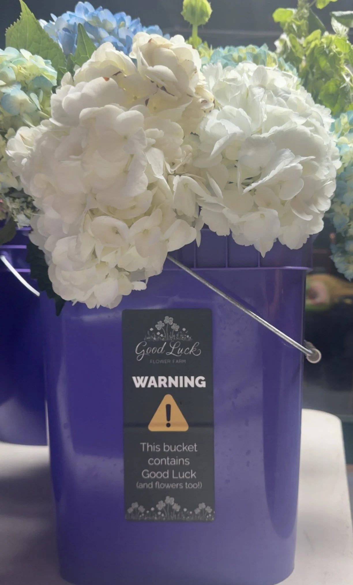 Lucky Bucket
