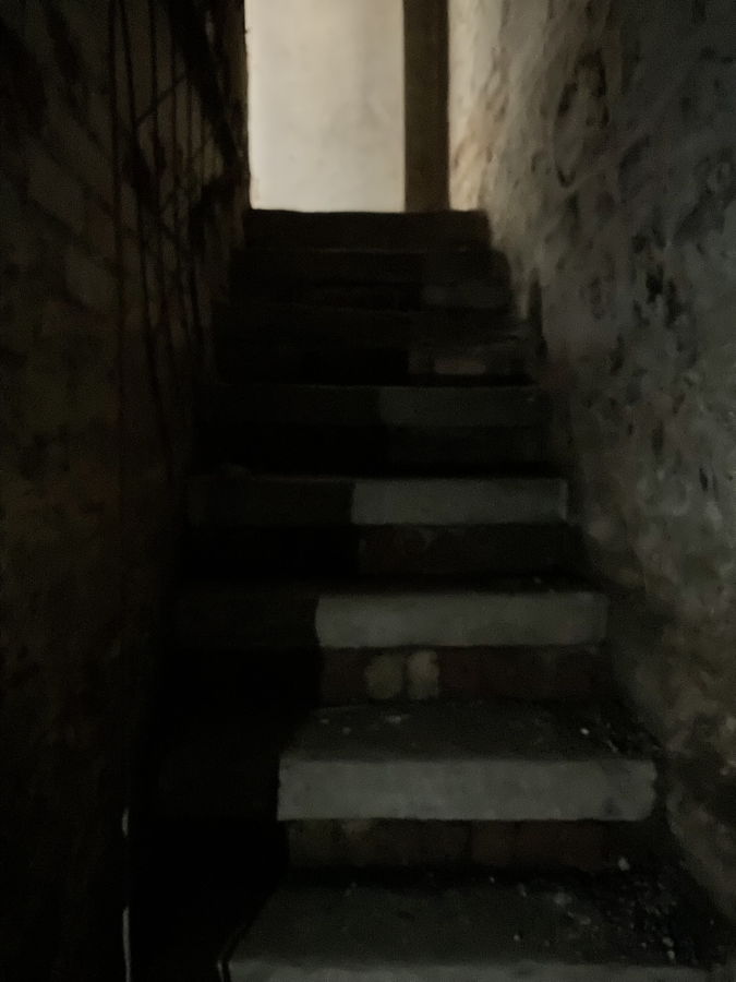 p835.png