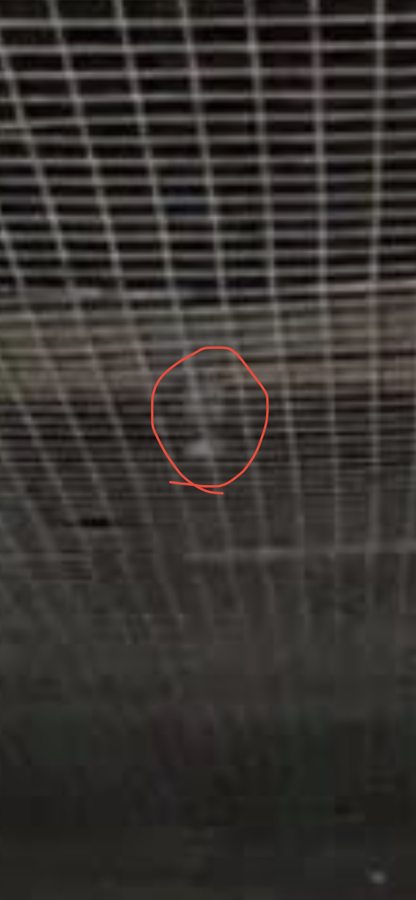 sh15.png