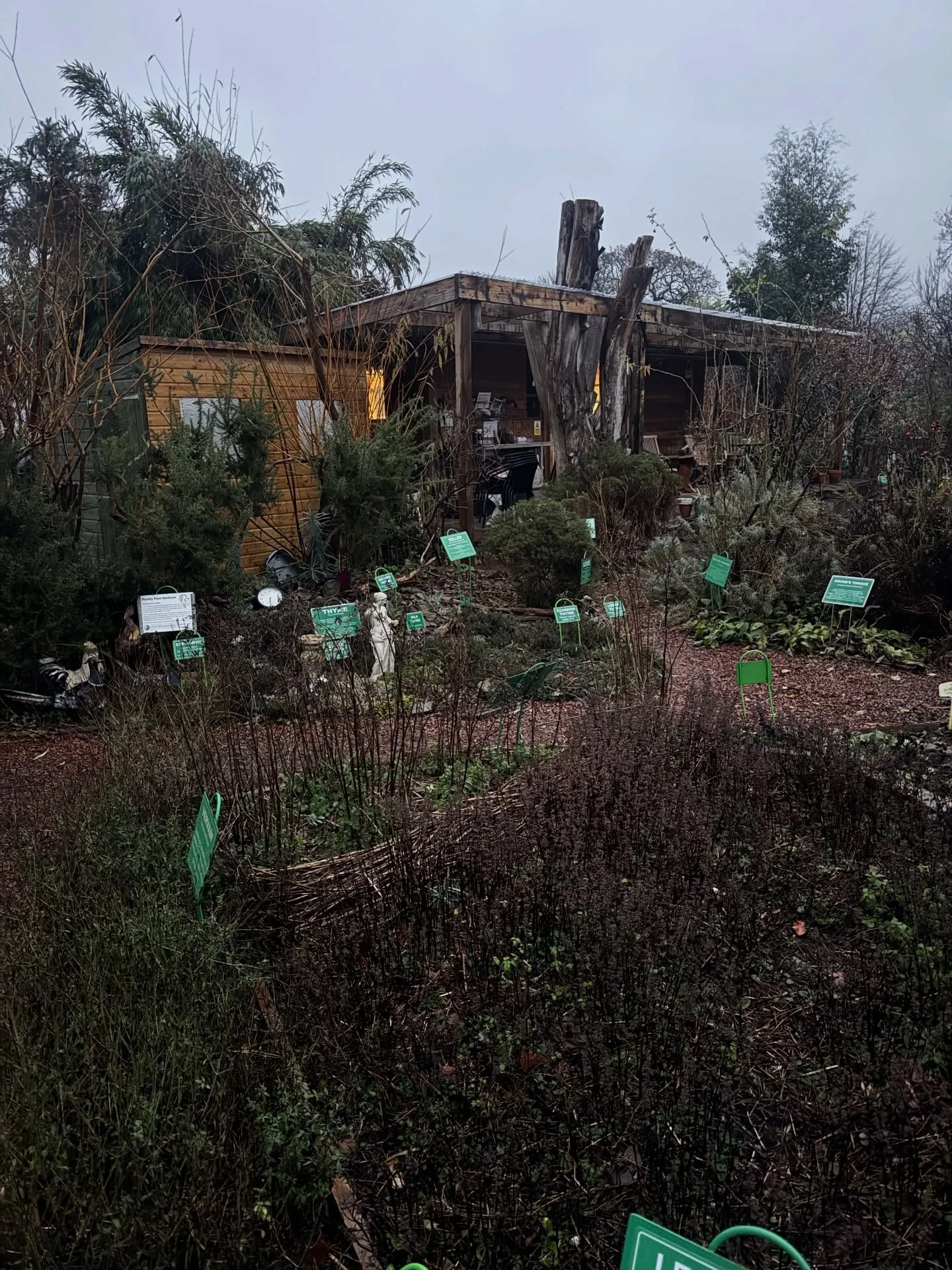 Huge thanks to everyone who came to the in person workshop today  @dilstonphysicgarden and online this evening for the @theherbsocietyuk #bookclub I&rsquo;ve had such a lovely time talking to you all ( I&rsquo;m quite chatty🤣) huge thanks for your a