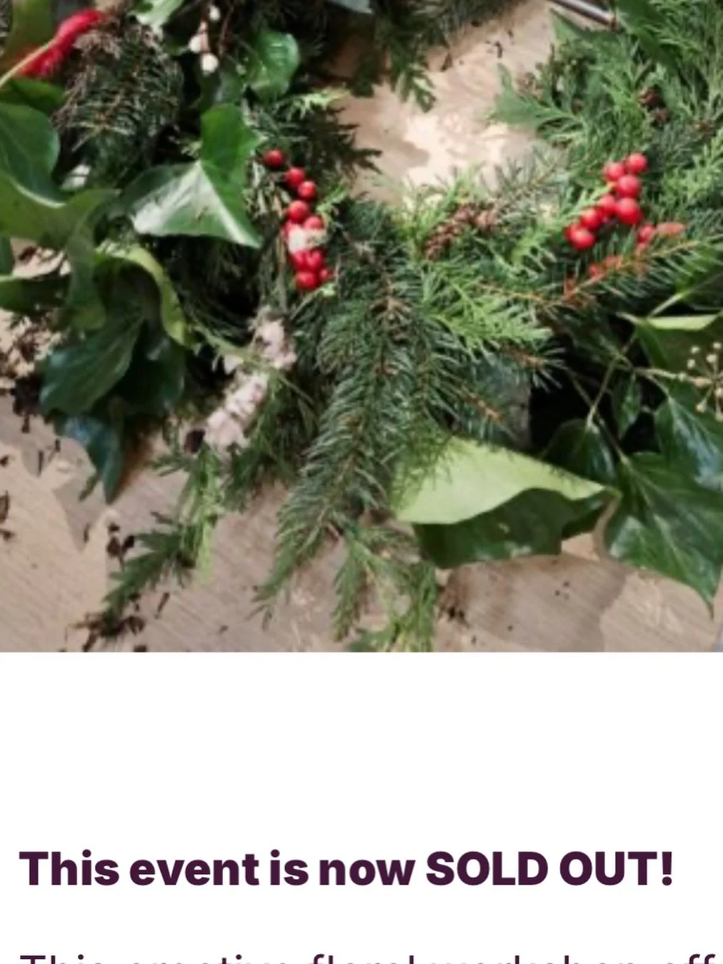 Really looking forward to tomorrow&rsquo;s workshop!

But if you didn&rsquo;t manage to get a ticket in time ( it sold out SO fast😊💚🌲💫) there is still one last chance to join in with a bit of festive folklore, an infusion or two and some herbal s