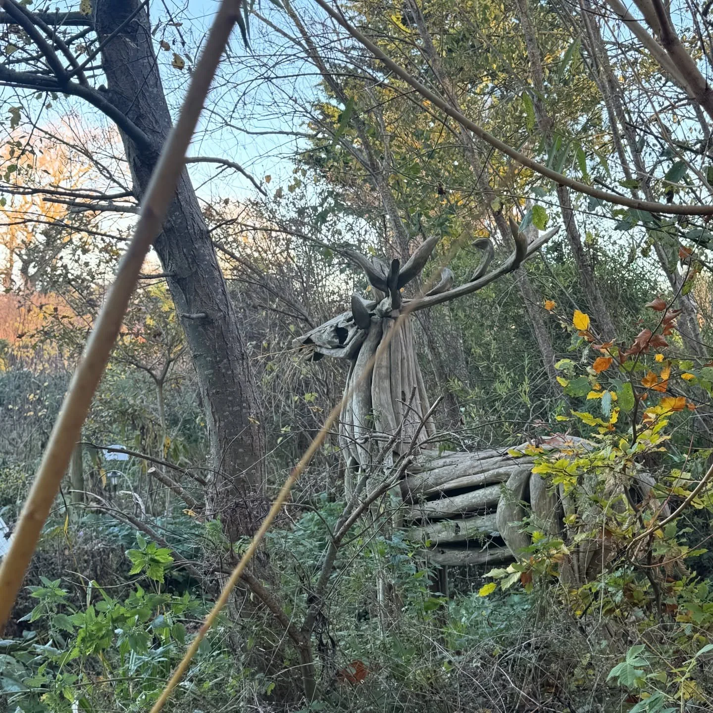 Looking towards midwinter

Join me for Yuletide folklore, herbal infusions to ward off the chills, tales from The Time Traveller&rsquo;s Herbal my first book published by @dandcbooks and to make a tiny nettle paper book, stitched together or bound wi