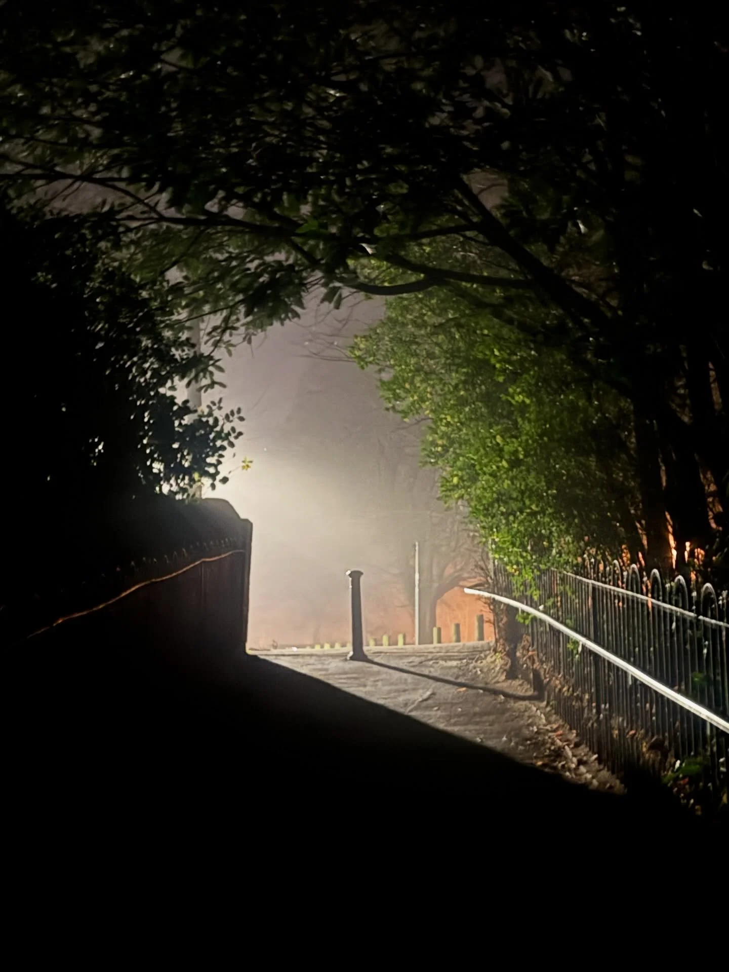 Hidden fairy tale portals beckon😊🌲✨

If you&rsquo;re intrigued by  or enjoyed The Time Traveller&rsquo;s Herbal do join me on Substack where I&rsquo;m sharing some of the stories hidden within the chapters in a special series with @verbena_books fo