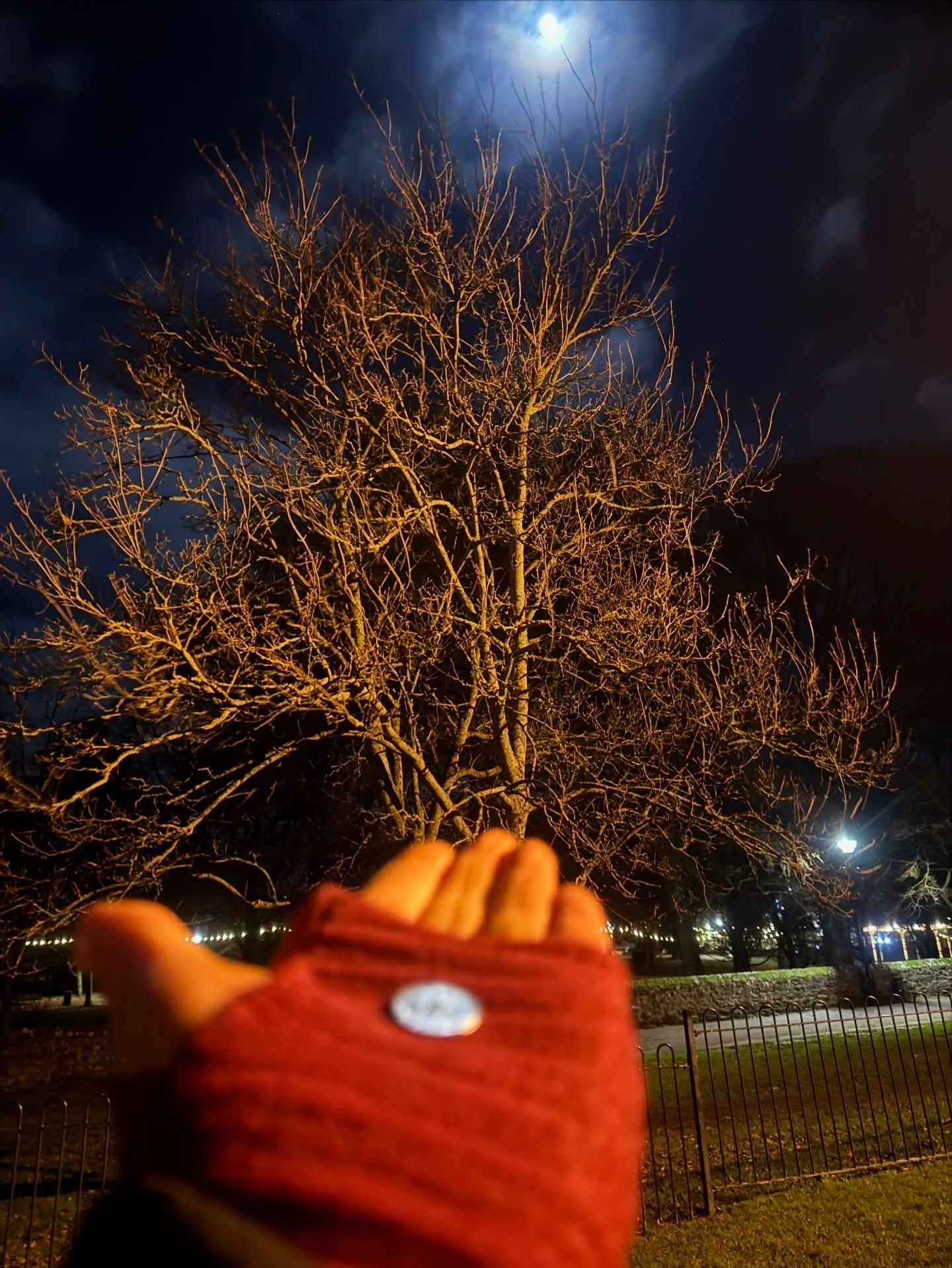 My younger daughter has just found a silver coin, glittering in the moonlight beneath the midwinter trees in the park as we took the dog for his evening walk.

She handed it to me: &lsquo;for good luck in the New Year&rsquo; she said&hellip;

A tiny 