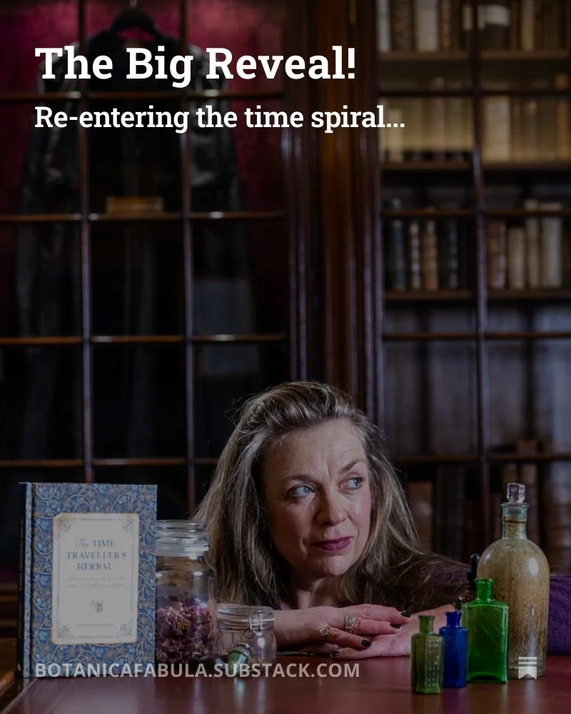 Fancy re-entering the Time Traveller's Herbal time spiral with me?

First cover reveals coming tomorrow in my Substack and Botanica Fabulousness facebook group...links in bio🤗💚✨🌱

#collectedcuriosities @verbena_books @dandcbooks #timetravellersher