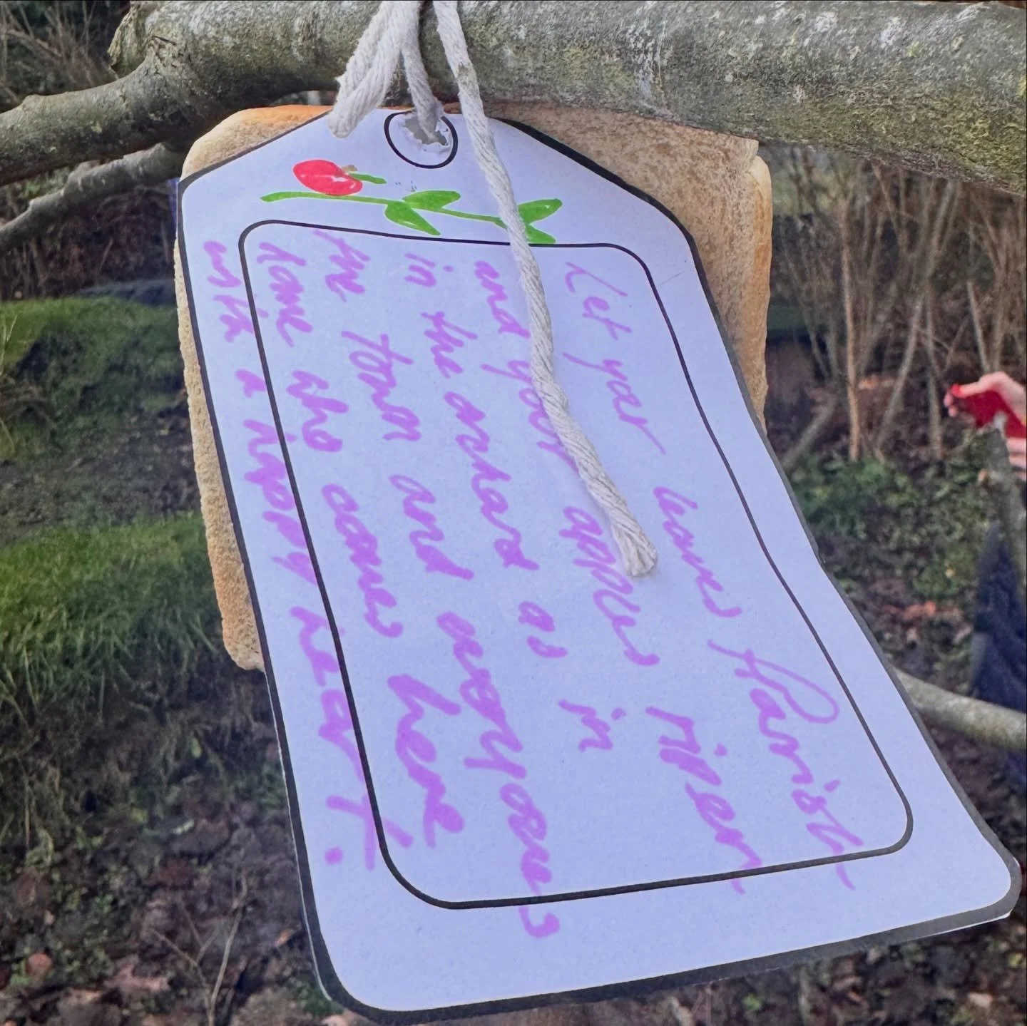 What a wonderful afternoon apple tree wassailing for @storiesfromourpatch with @hexhamcommunitygarden @nlandlibs 

Loved all the conversations about tree lore and turnips, two of my favourite topics!

Looking forward to the next chapter!
🌳💫🍎🌱✨

#