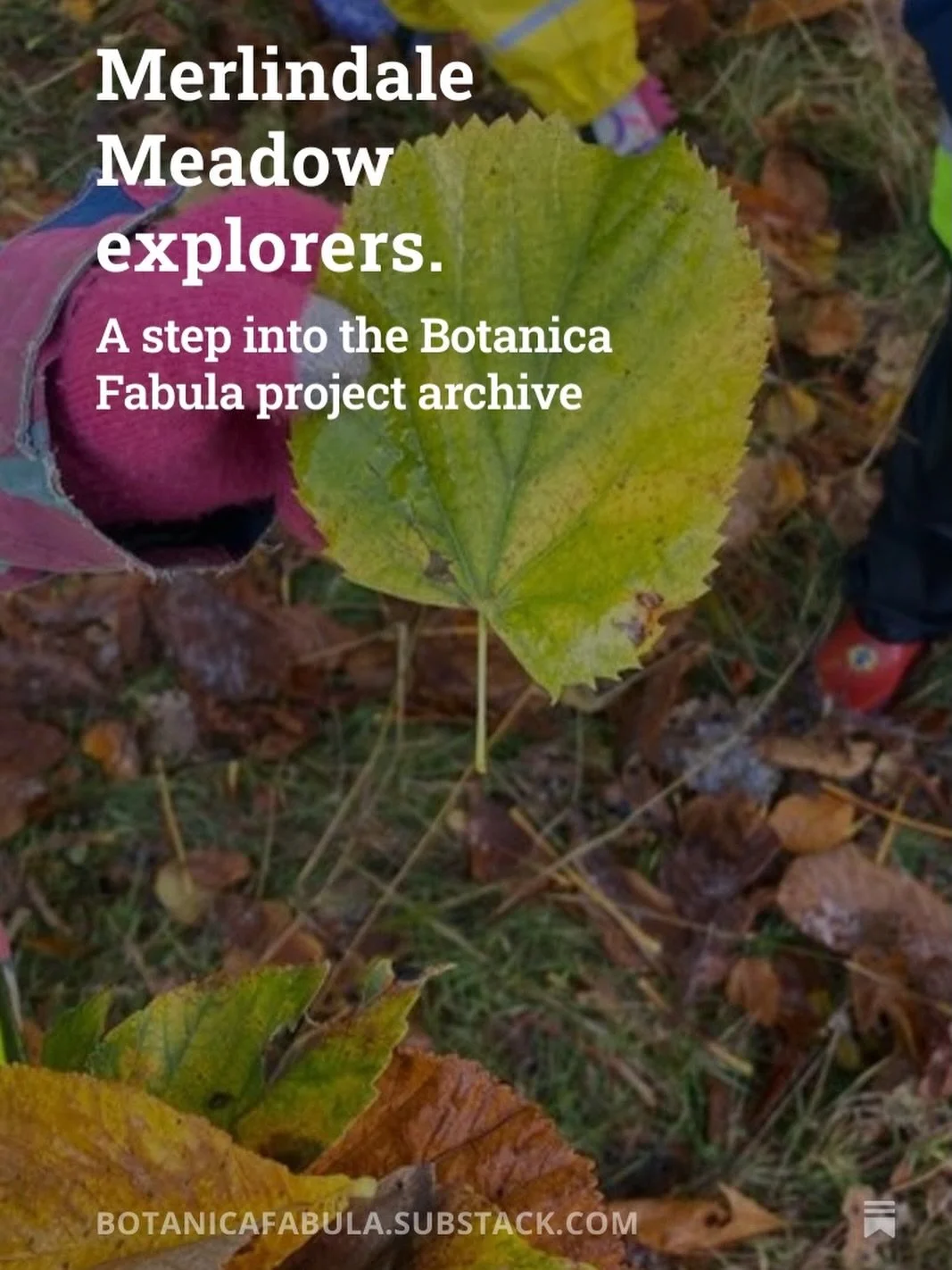 A little look at a project I created with @tweedriverculture and @merlindale_nature in a folklore infused, beautiful Scottish southern upland meadow a couple of years ago on my Substack this evening ( and if you&rsquo;re not a Substack person you can