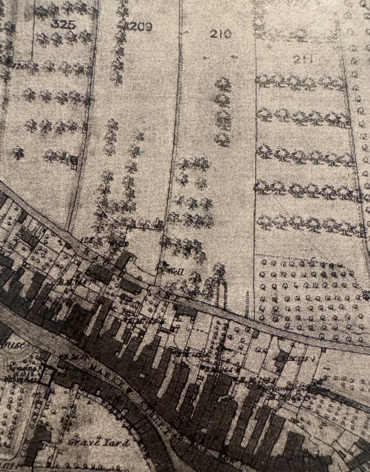 The street names give clues to the stories of places&hellip;

I&rsquo;m currently starting to spot the signs that lead us to the orchards and market gardens that Hexham was once famous for, as part of the #storiesfromourpatch project with @storiesfro
