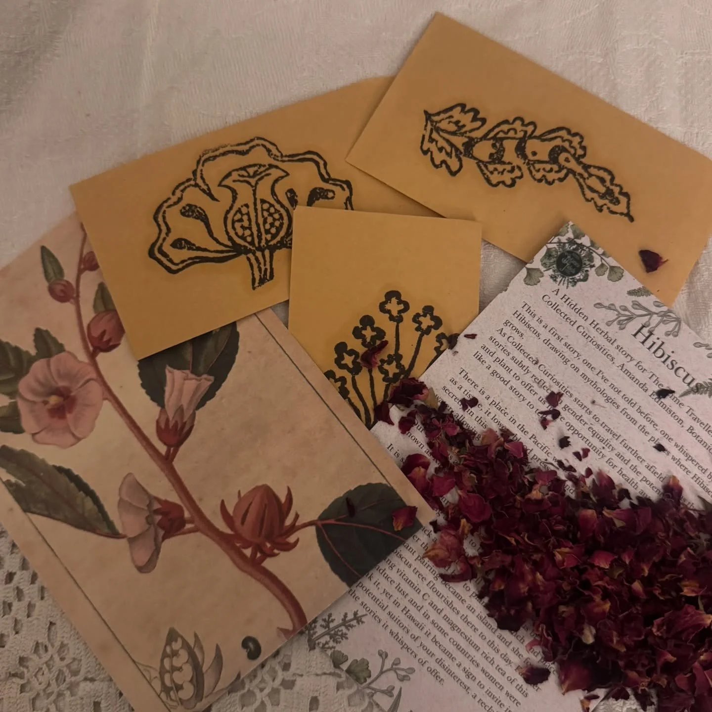 Really lovely afternoon sharing stories, plantlore and magic with #hedgewalkerspath students on @motherhylde &lsquo;s wonderful online course🌺💫💚

Hibiscus stories made an appearance, tales of scrying and  women&rsquo;s fortunes&hellip;

&hellip;an