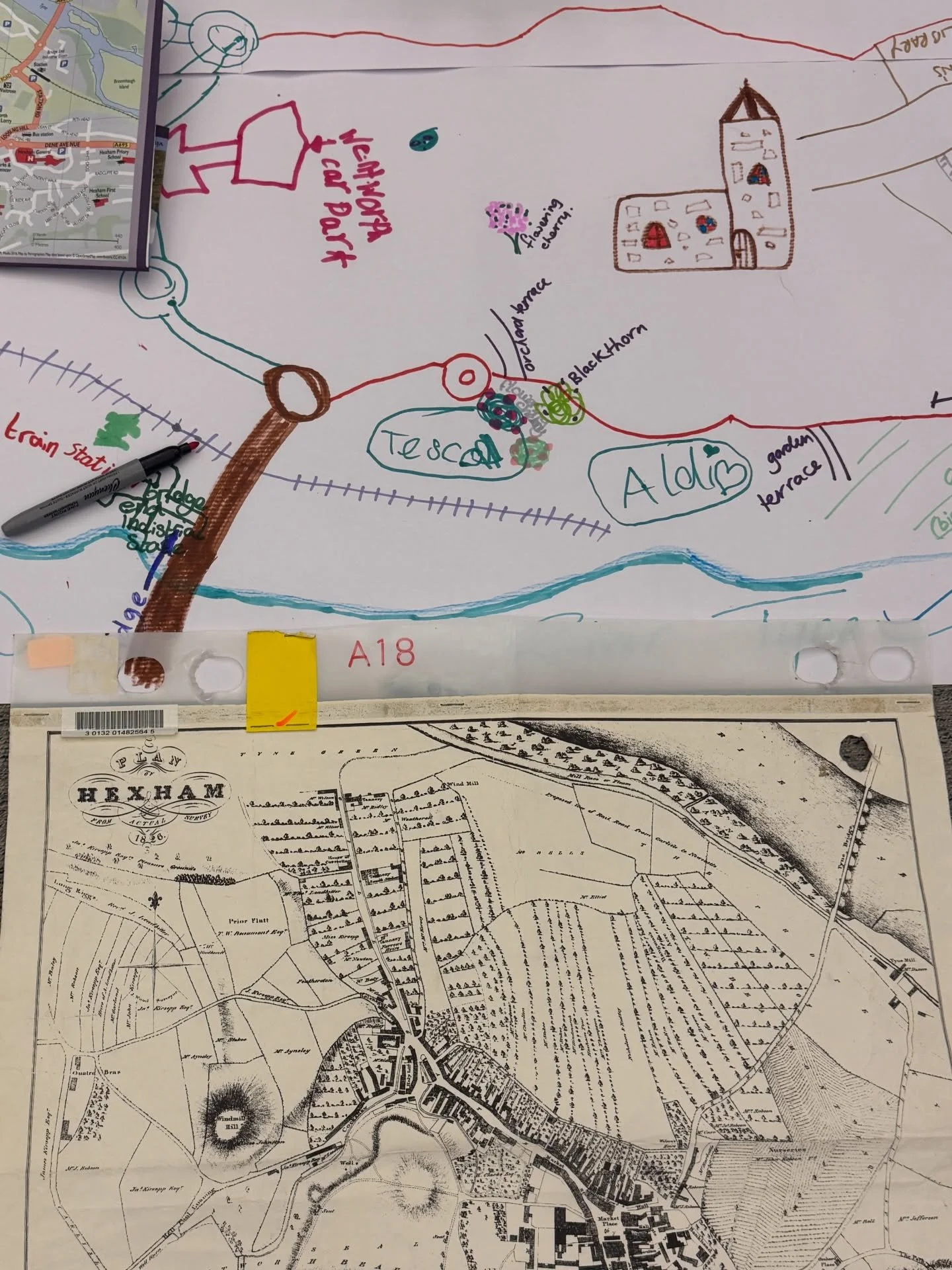 Wonderful time starting to map the blossoming fruit trees of Hexham at @nlandlibs today, fruit trees are so important for people, pollinators, place&hellip;Hexham history is filled with stories of these beautiful blossoms, people once travelled by tr