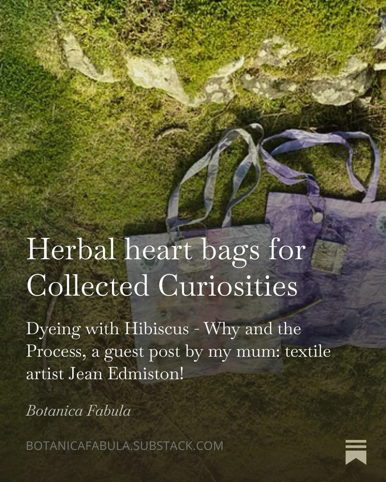 A look at the fascinating process behind the beautiful Hibiscus dyed bags created by my mum @jeanstoryteller to accompany the launch of Collected Curiosities over on my Substack&hellip;each one comes with a secret story of scrying and the intricacies