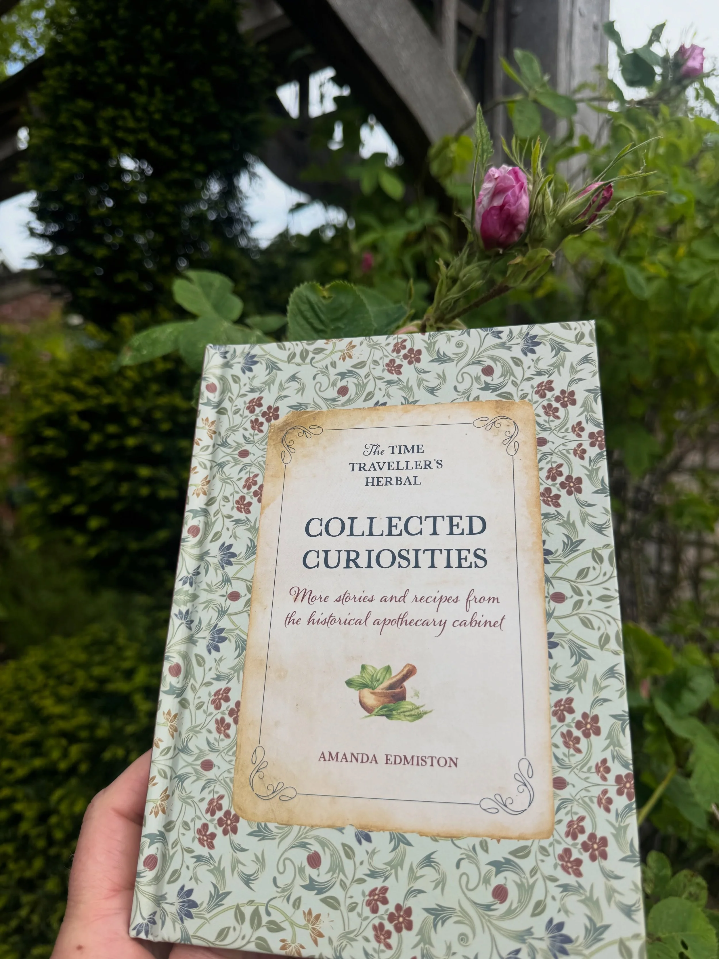 The tradition of taking your new book out pre publication to physic gardens for days out 😊💚💫🌱📚

Today Collected Curiosities @verbena_books is visiting The William Turner Garden in Morpeth @visitnorthumberland 

Born in Morpeth in 1508 Turner is 