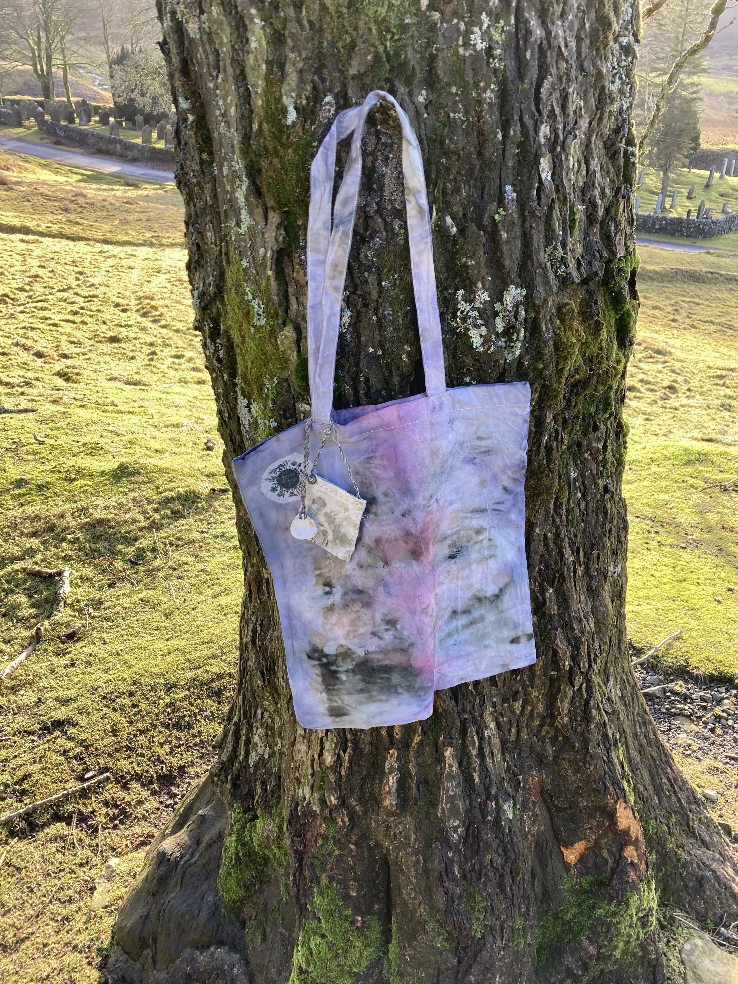 Hibiscus bag tree.jpg