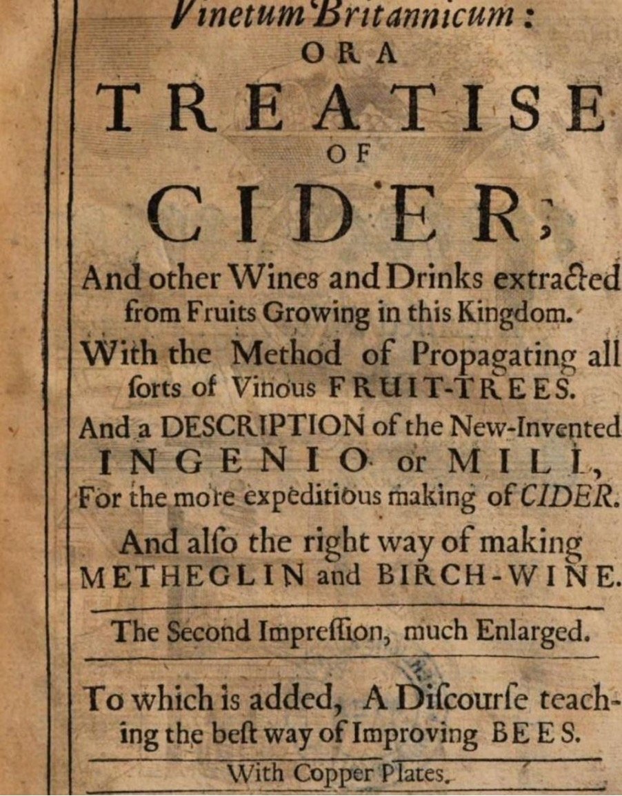 Birch wine.jpg