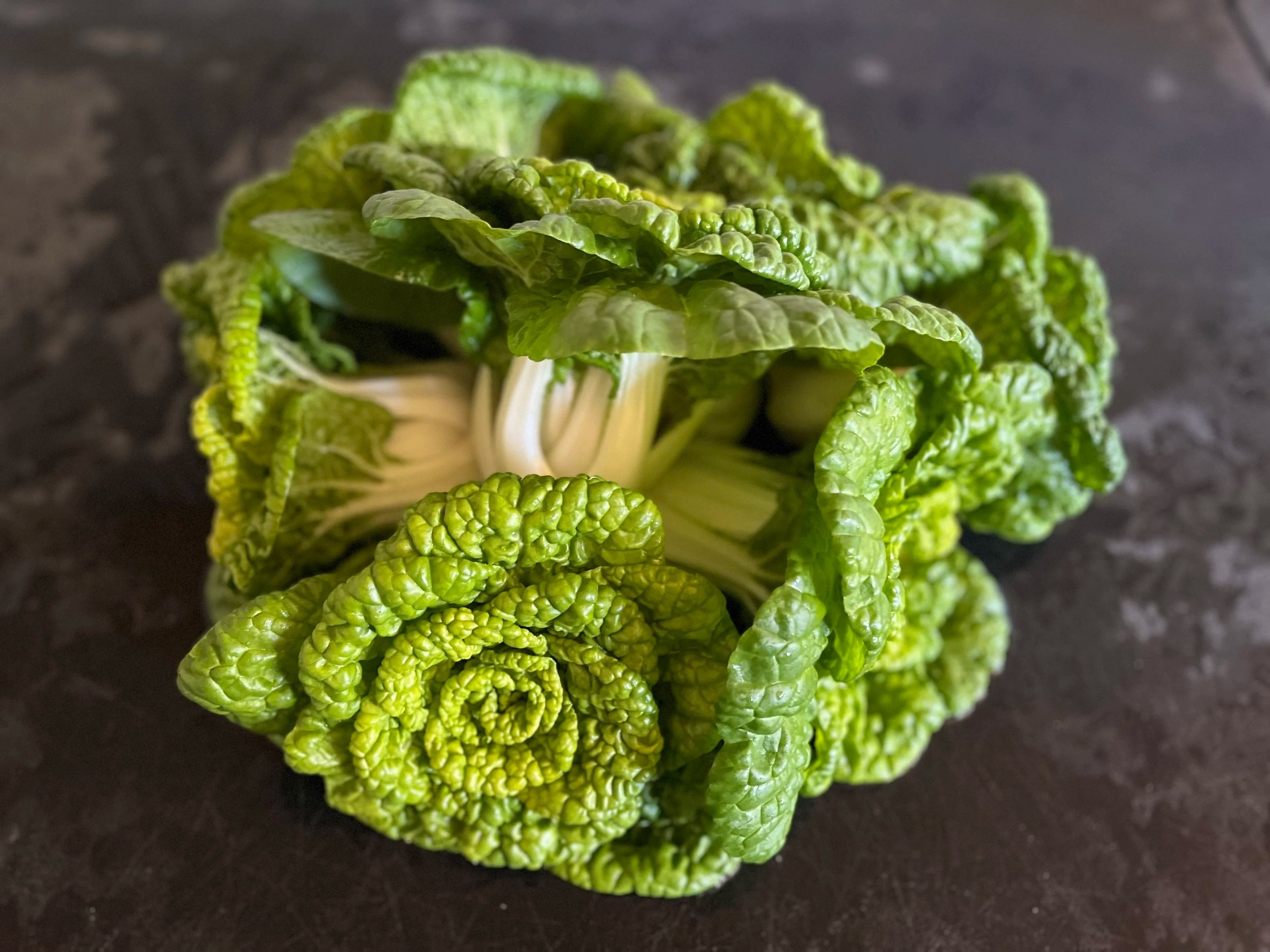 bok+choi.jpg