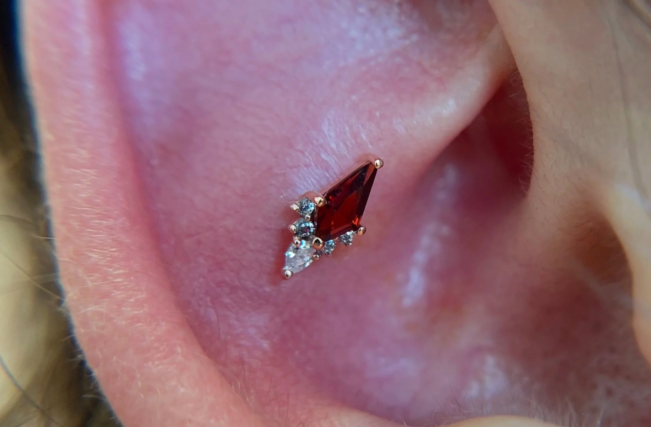 Close-up of a human ear with a septum piercing featuring a triangular red gemstone surrounded by small clear gemstones.