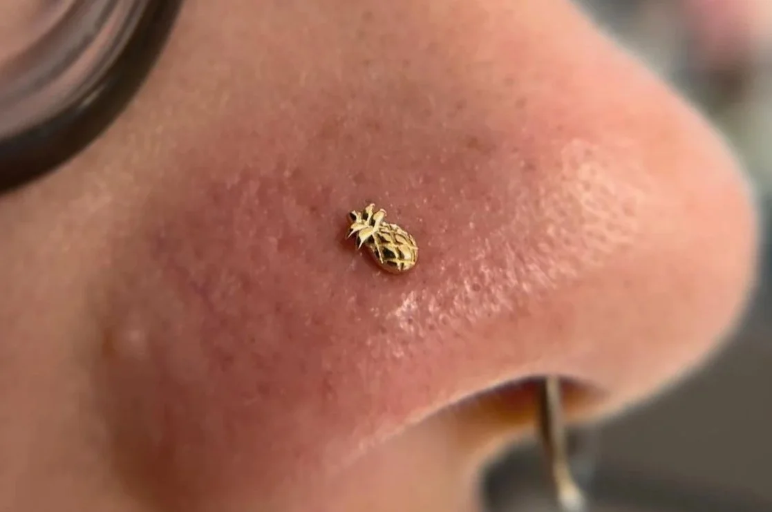 Close-up of a nose with a small gold nose ring and a nose piercing, part of glasses visible in background.