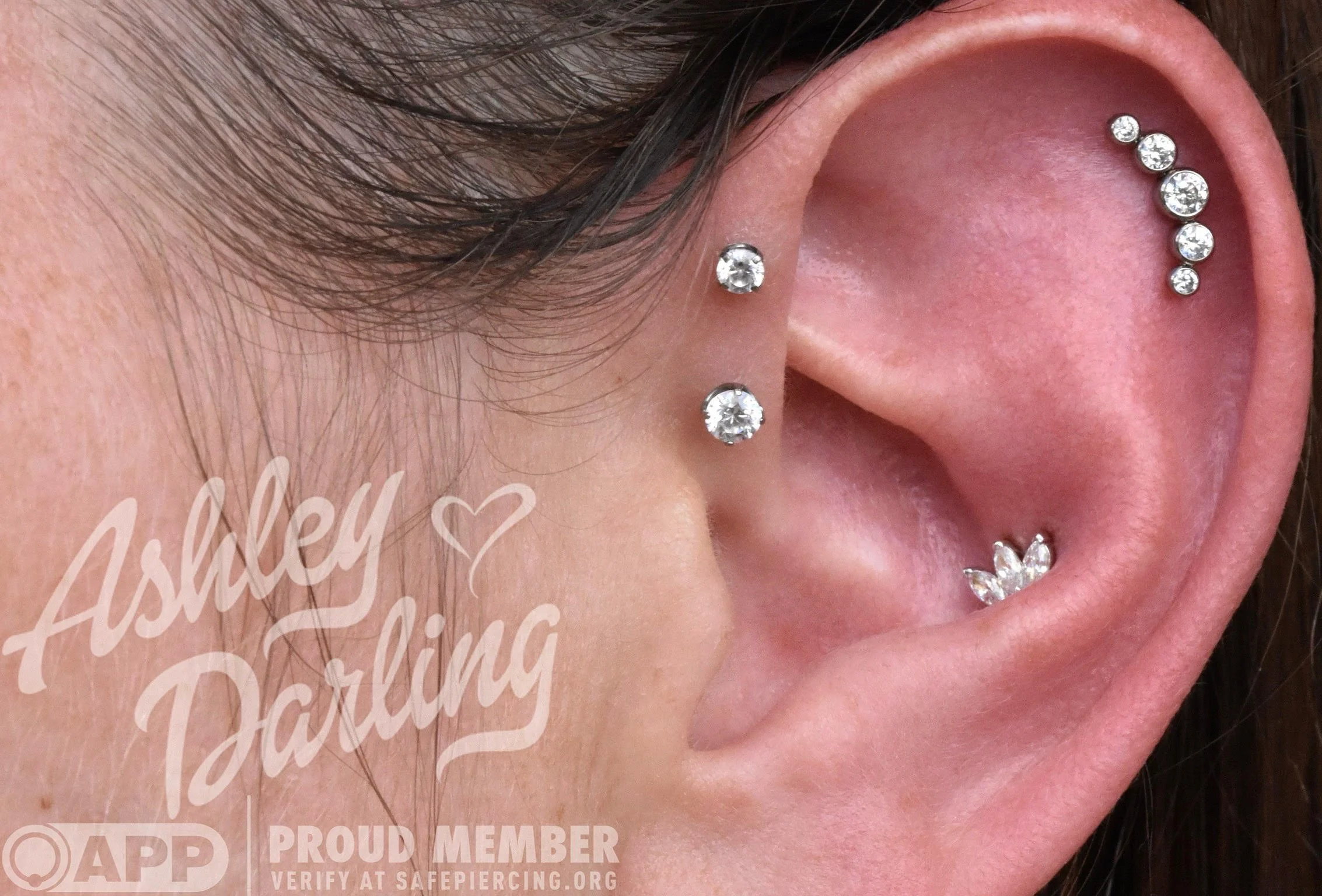 ashley darling — Golden Halo body arts