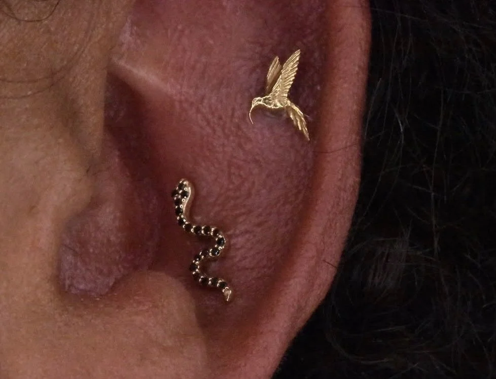 Close-up of a person's ear with two earrings: a gold hummingbird and a small black and gold snake.