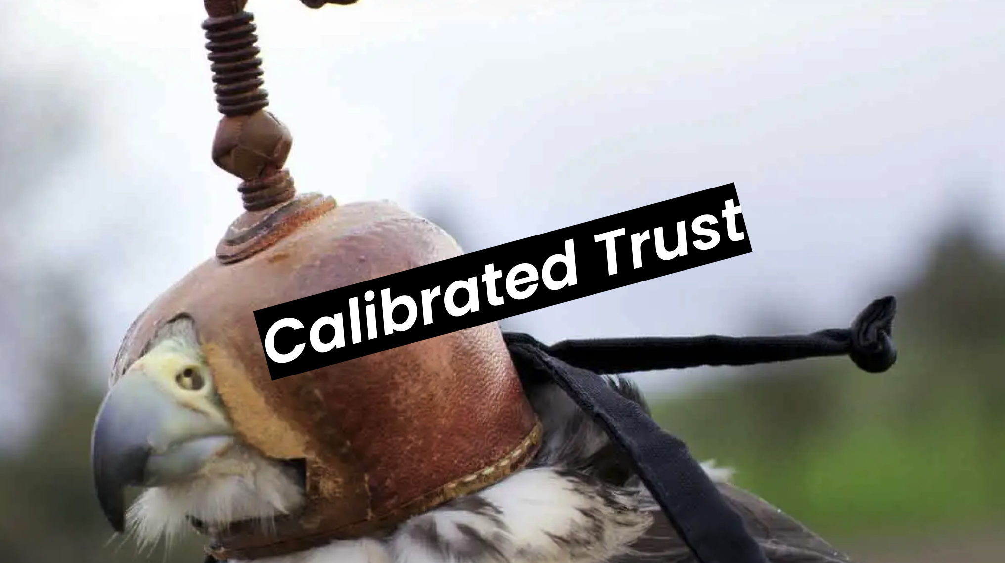 What do we mean by Calibrated Trust?