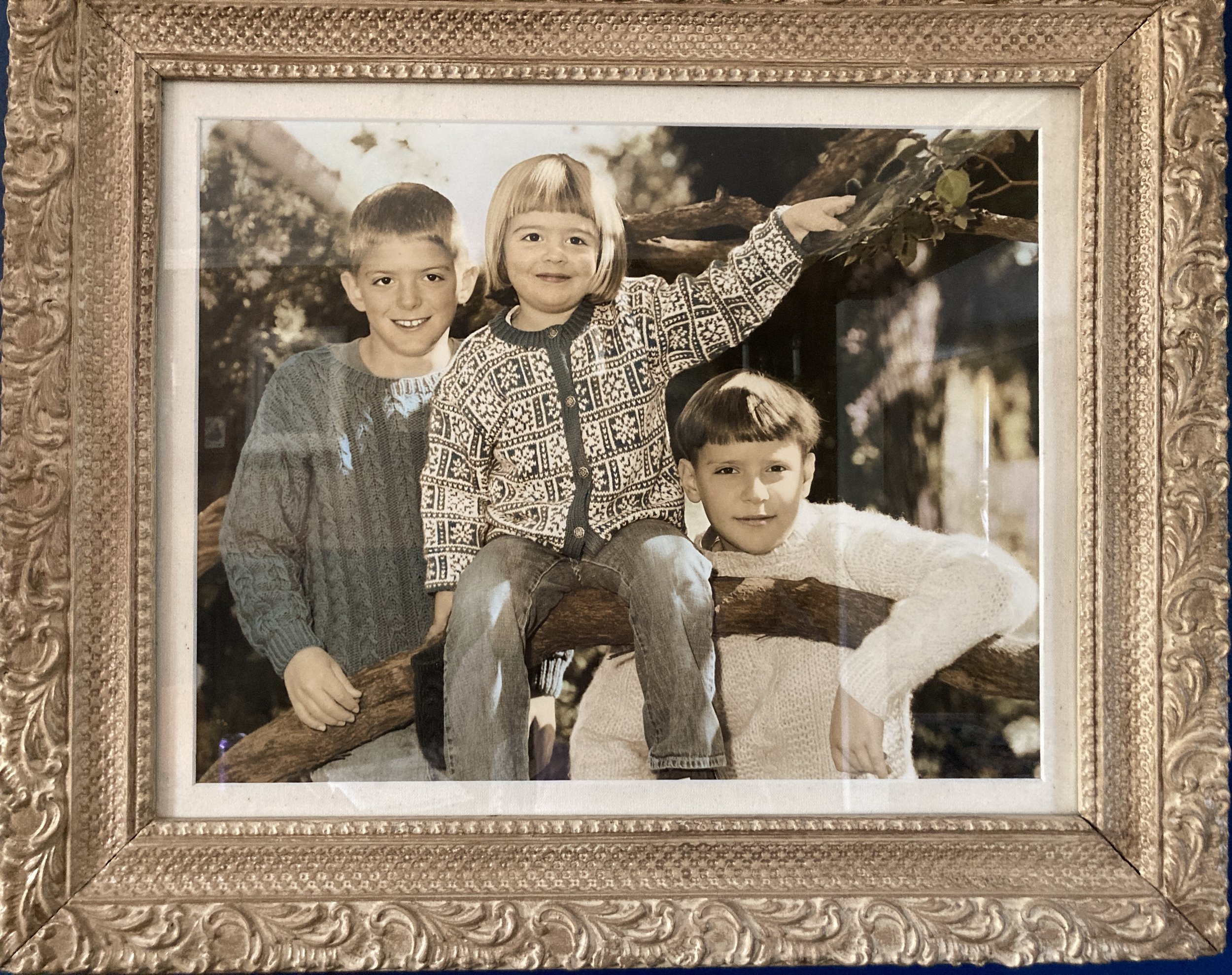 The Giving Lilac (Tree)