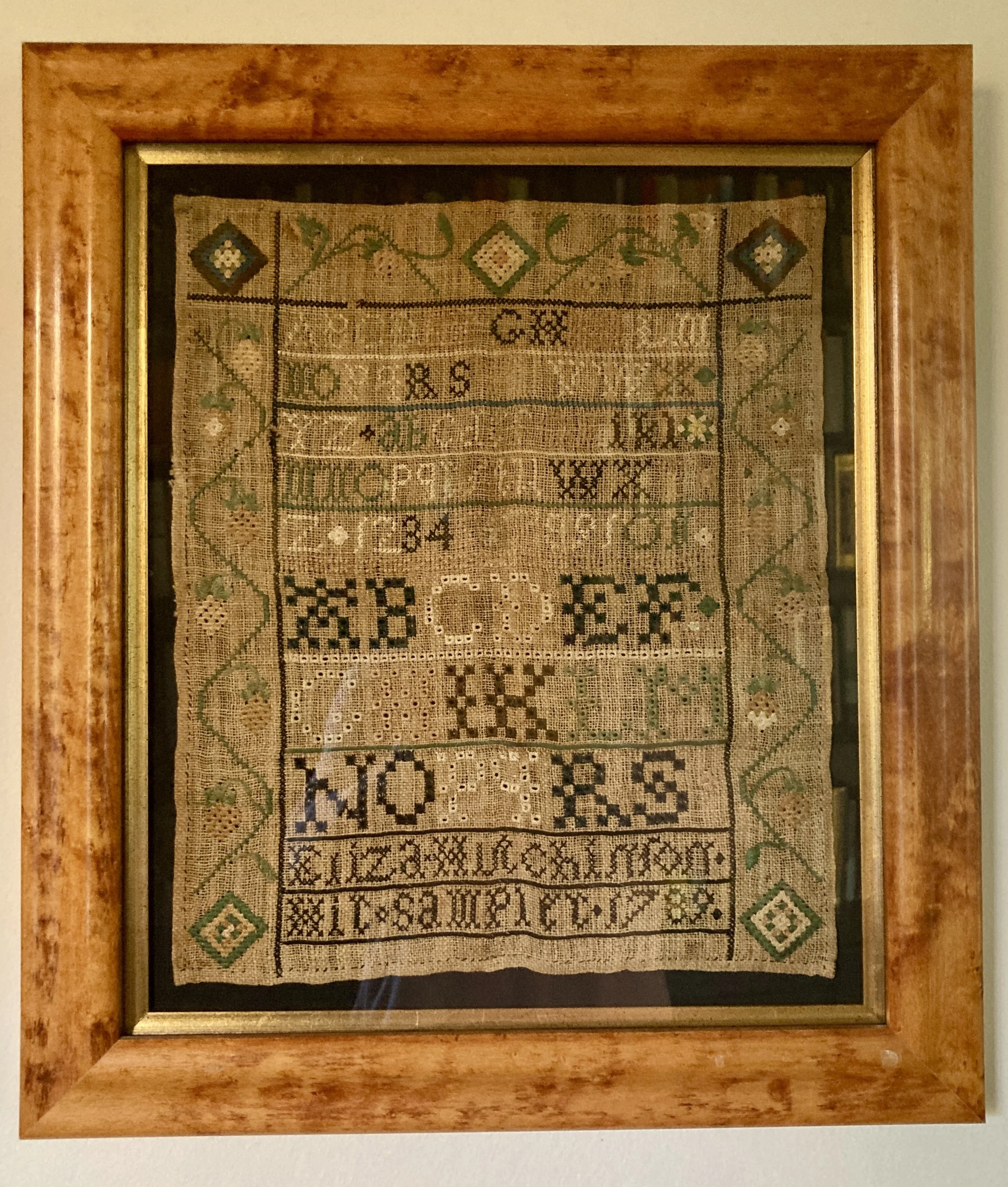 The Roots Of My Tree