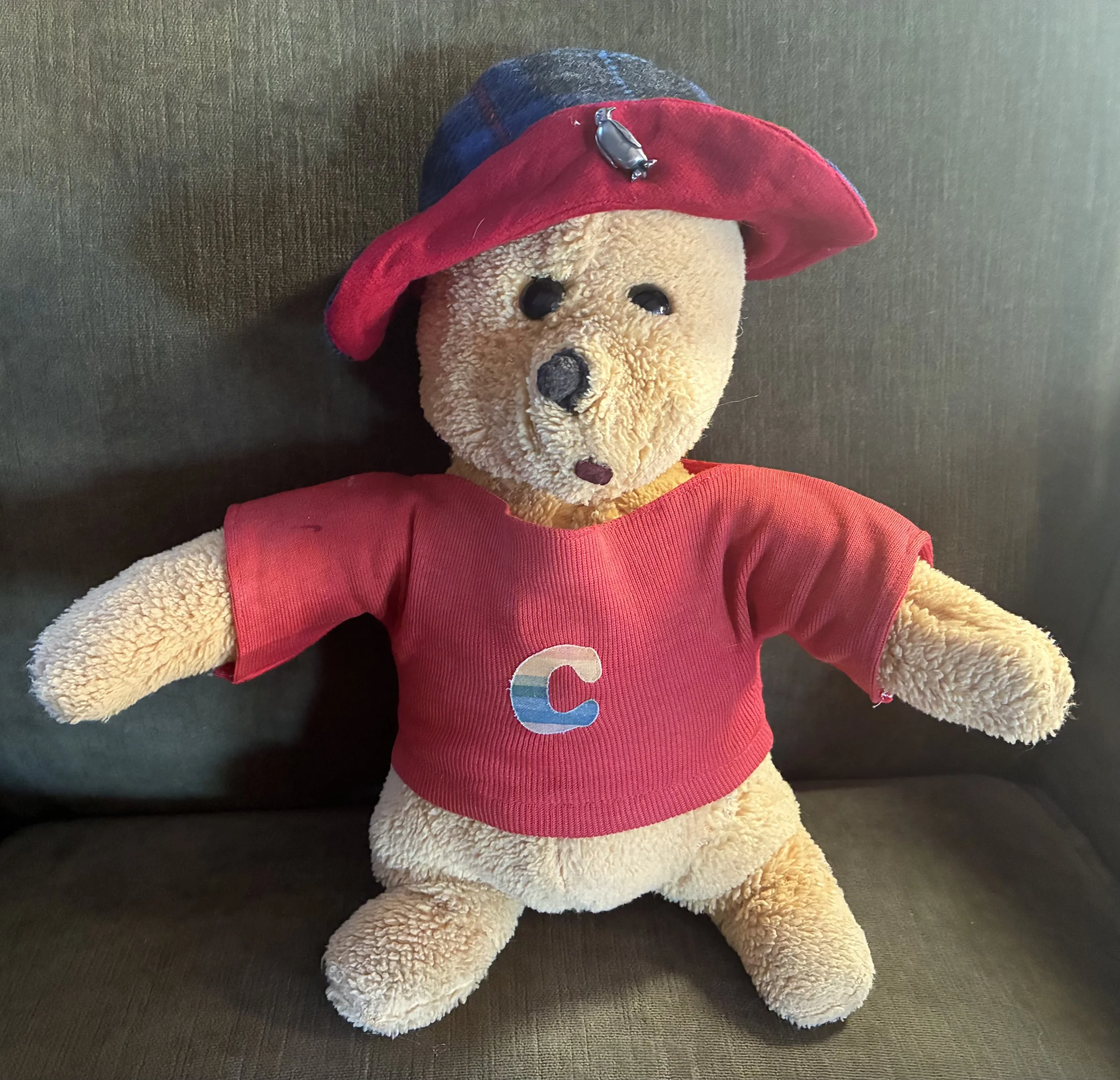 Winnie Goes To College