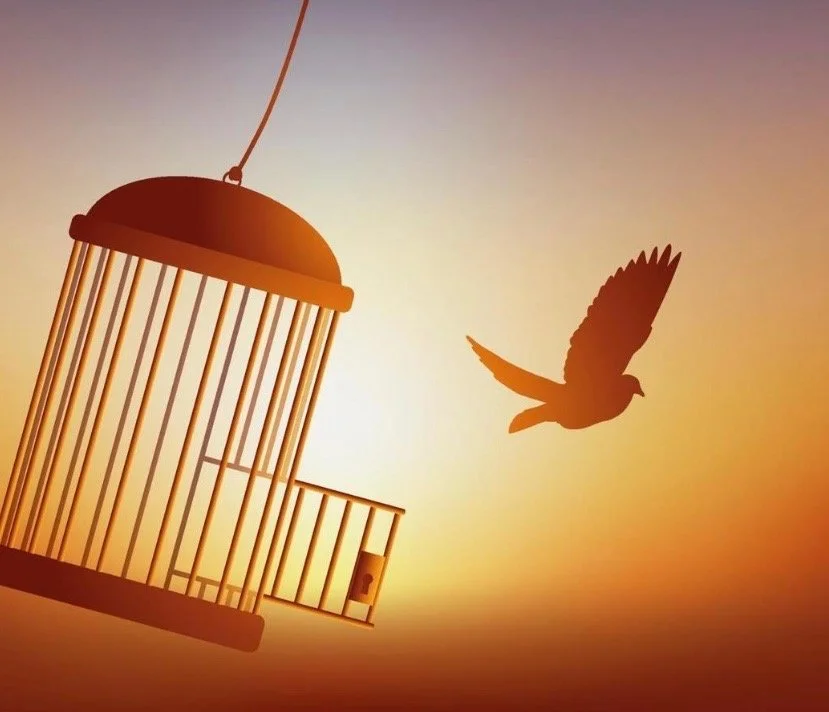 A FREEDOM YOU’VE NEVER KNOWN