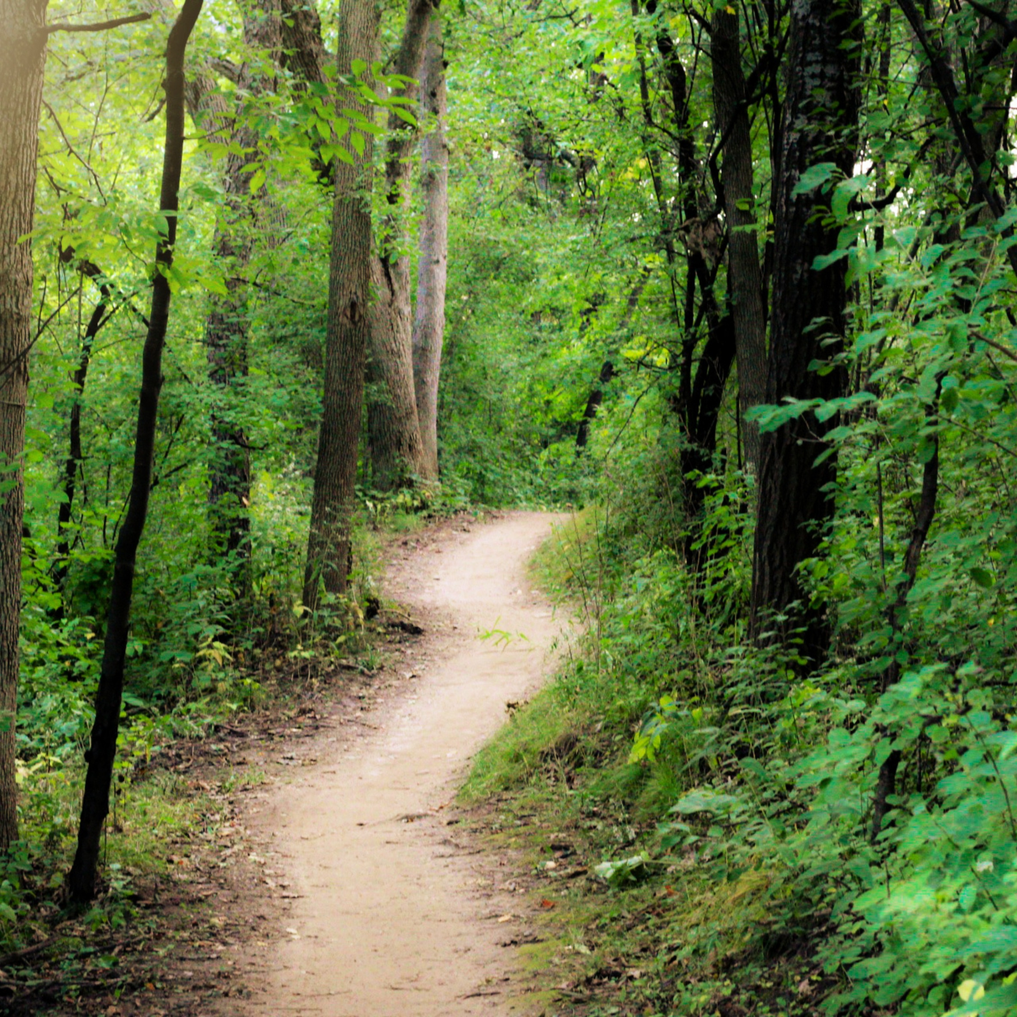 Your Path. Your Rules.