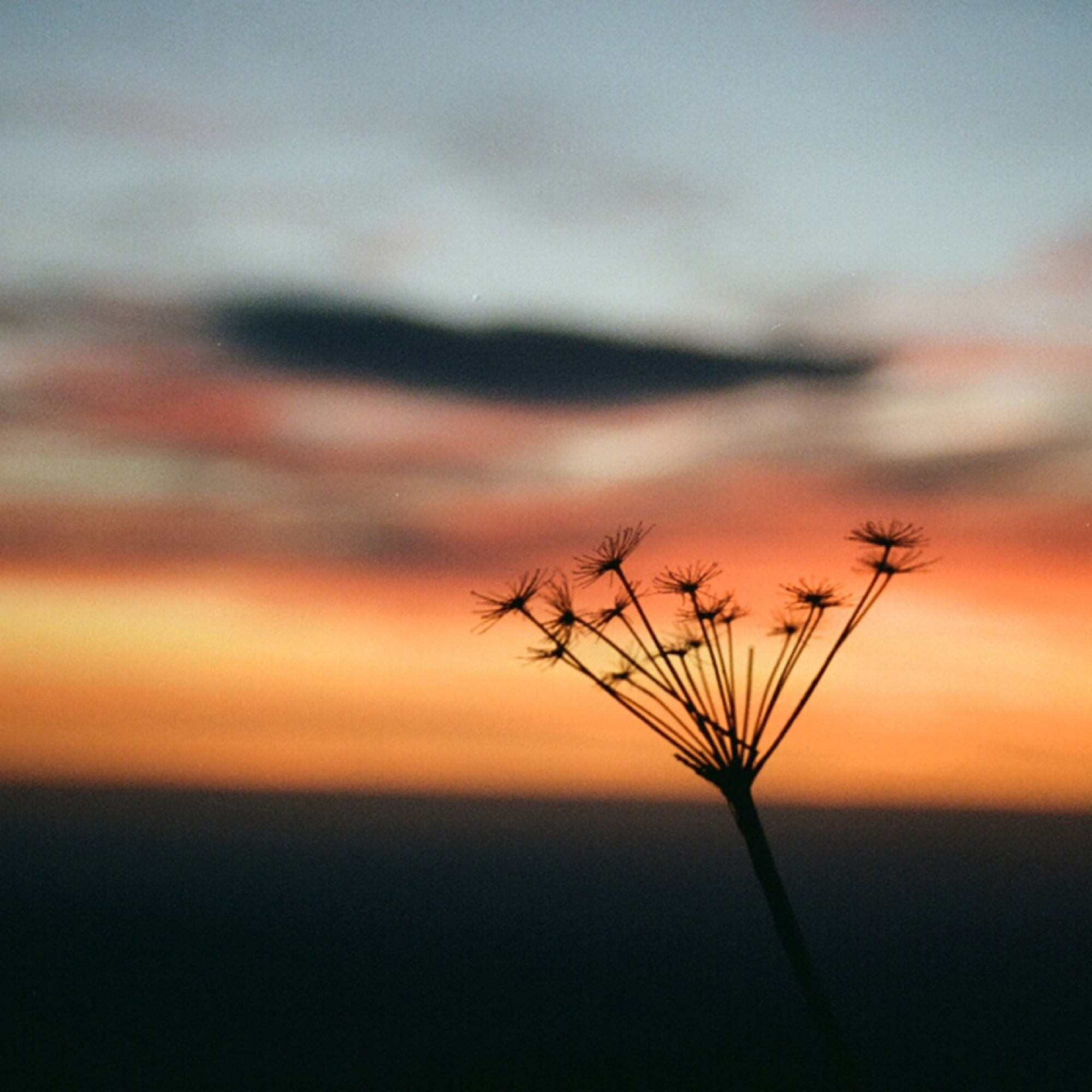 How You Do the Small Things Is How You Do Everything