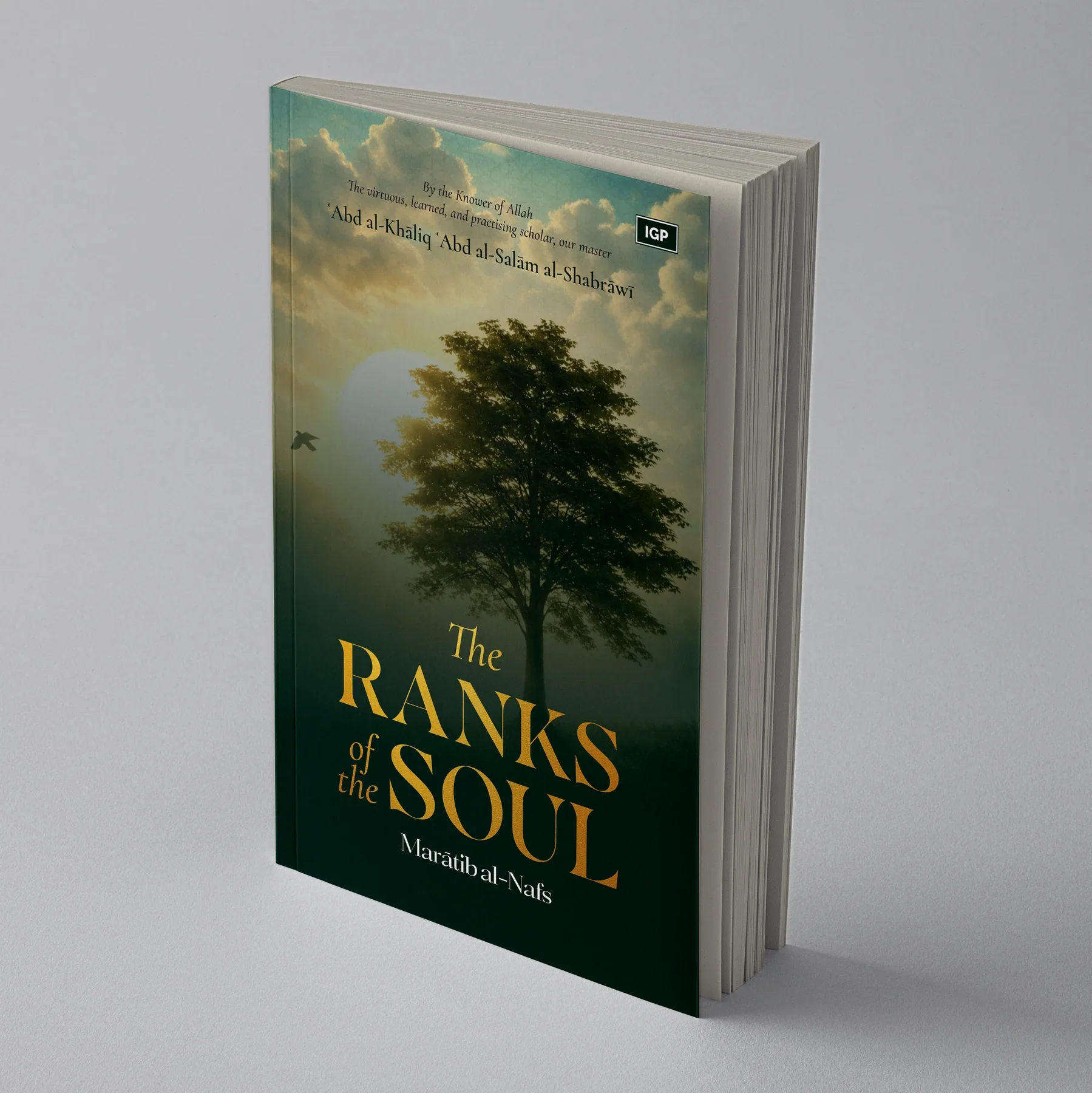 TheRankofSoulCover_1800x1800.webp