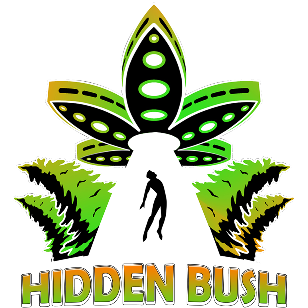 The Hidden Bush