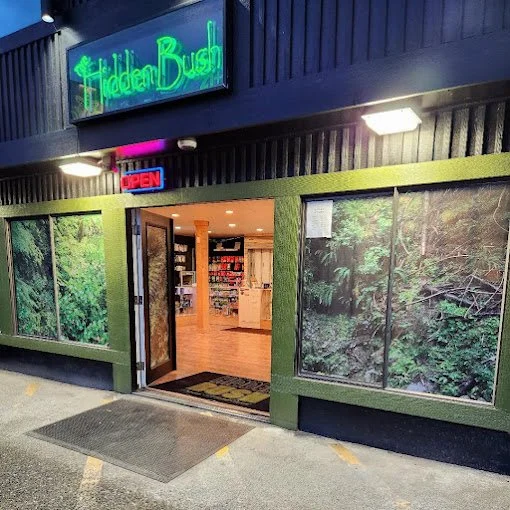 Storefront of "Hidden Bush" with neon sign, large windows, open door displaying interior with shelves.