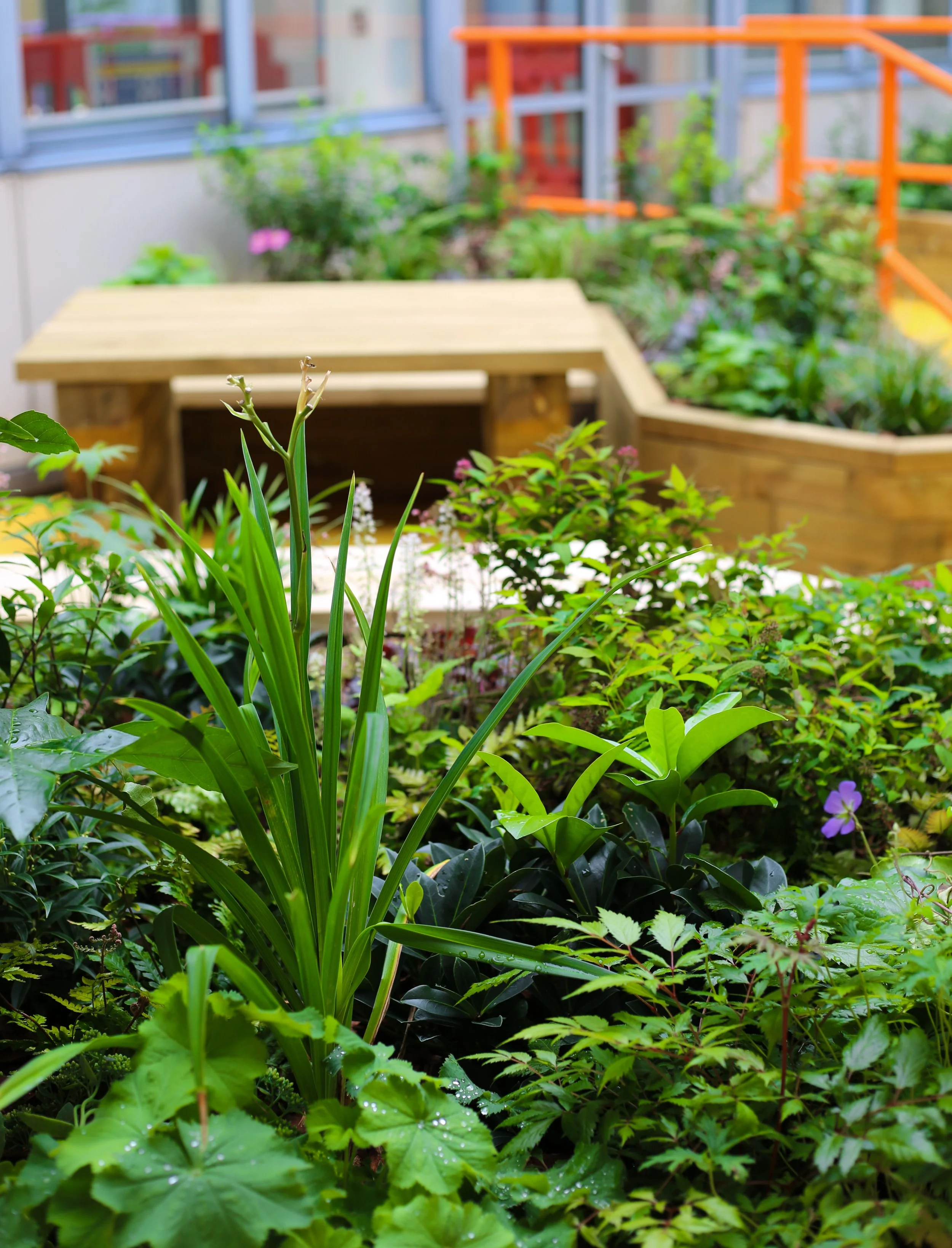 NGH Courtyard 3.jpg