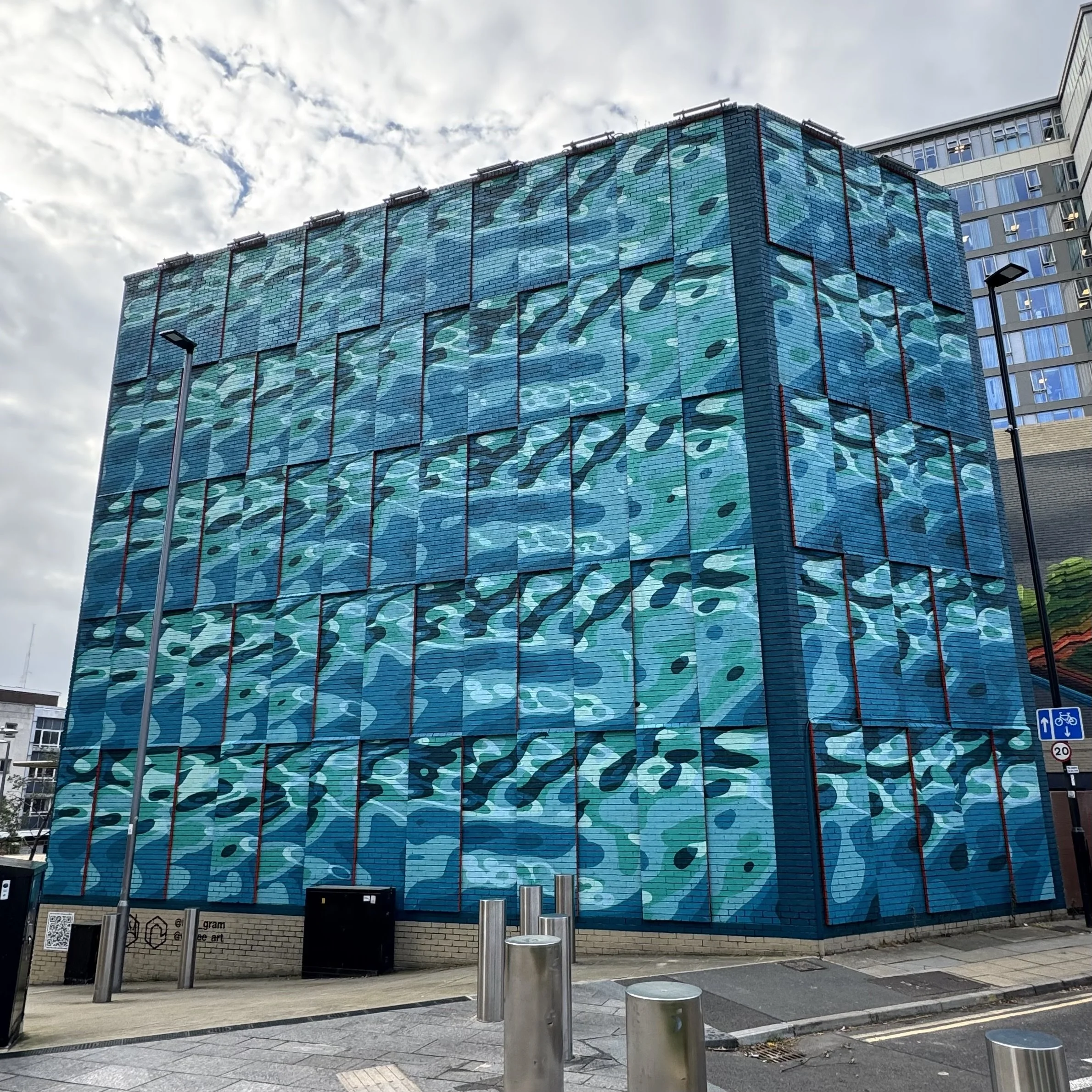 'Rivers' by INSA (jointly shortlisted as 'Rivers and Hills with Rob Lee) - Wellington Street
