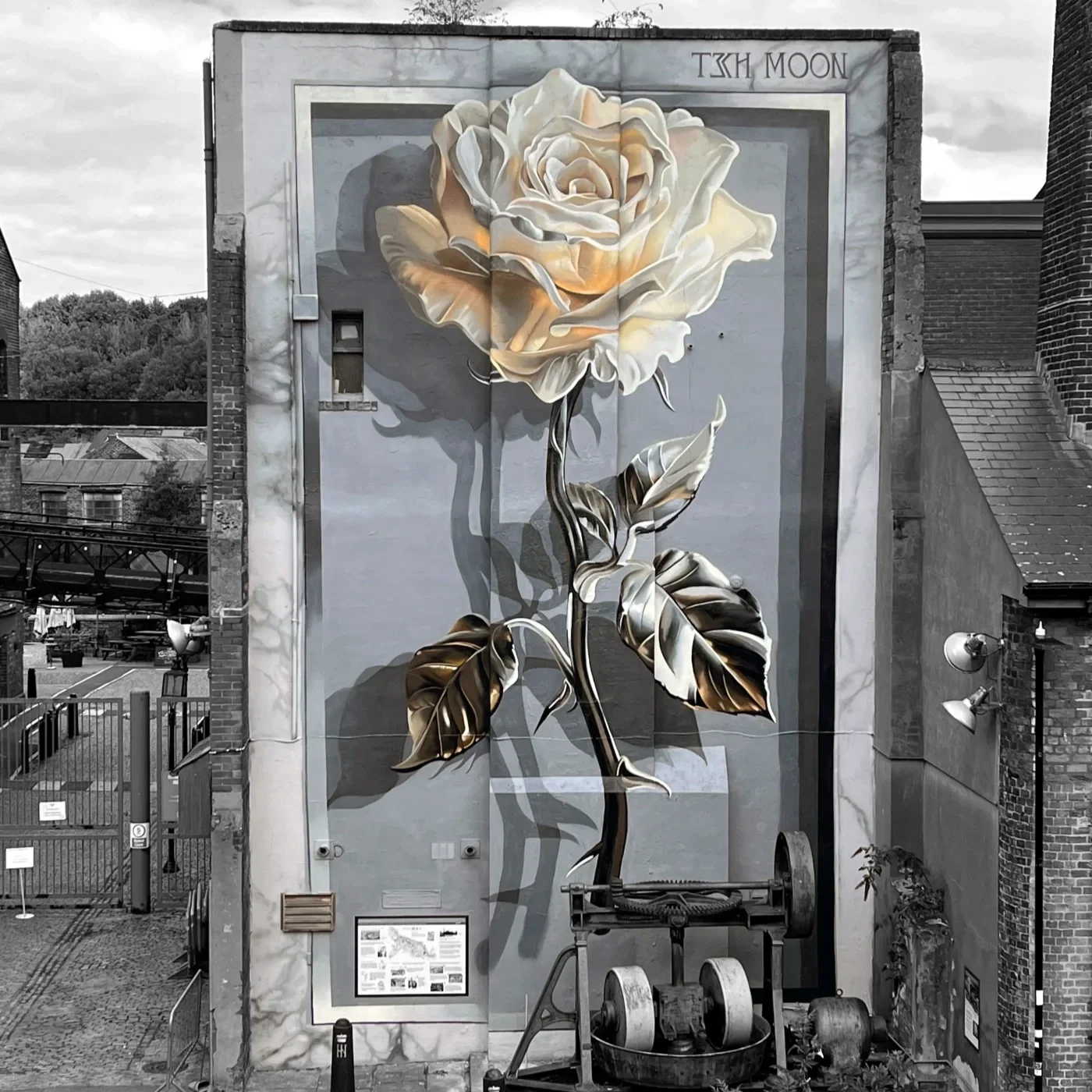 'Rose' by Tech Moon - near Kelham Island Museum