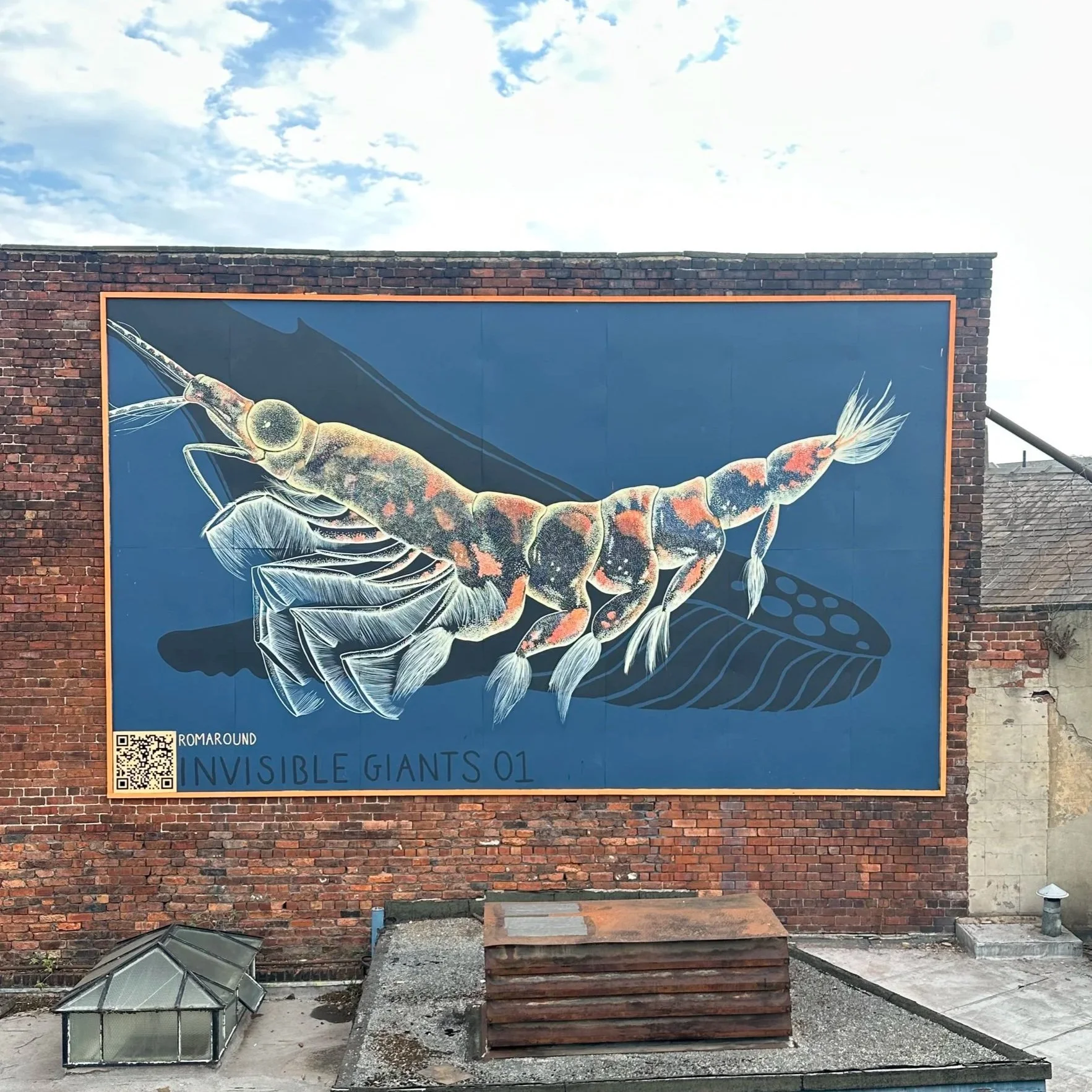 'Invisible Giants 01: Antarctic Red Krill' by Romaround - Nomad Maison, Stanley Street
