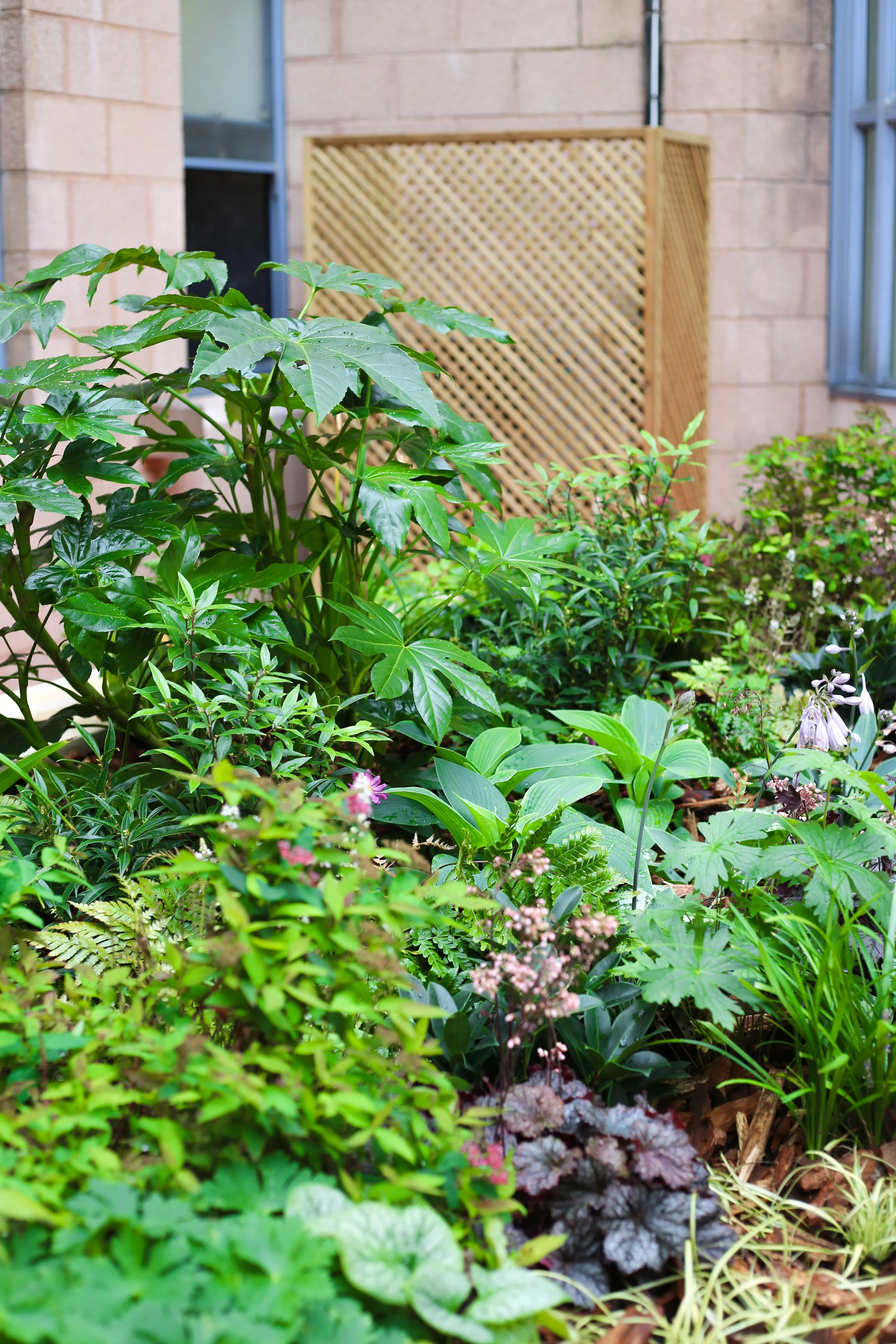 NGH Courtyard 2.jpg