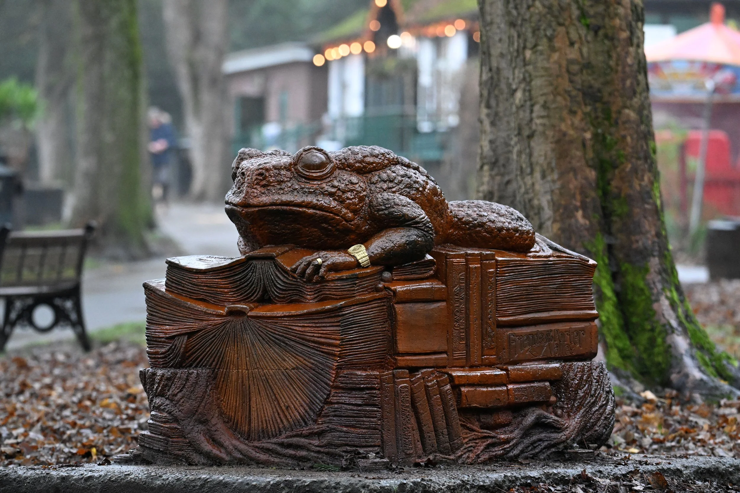 'Endcliffe Park Toad' by Jason Turpin-Thomson - Endcliffe Park