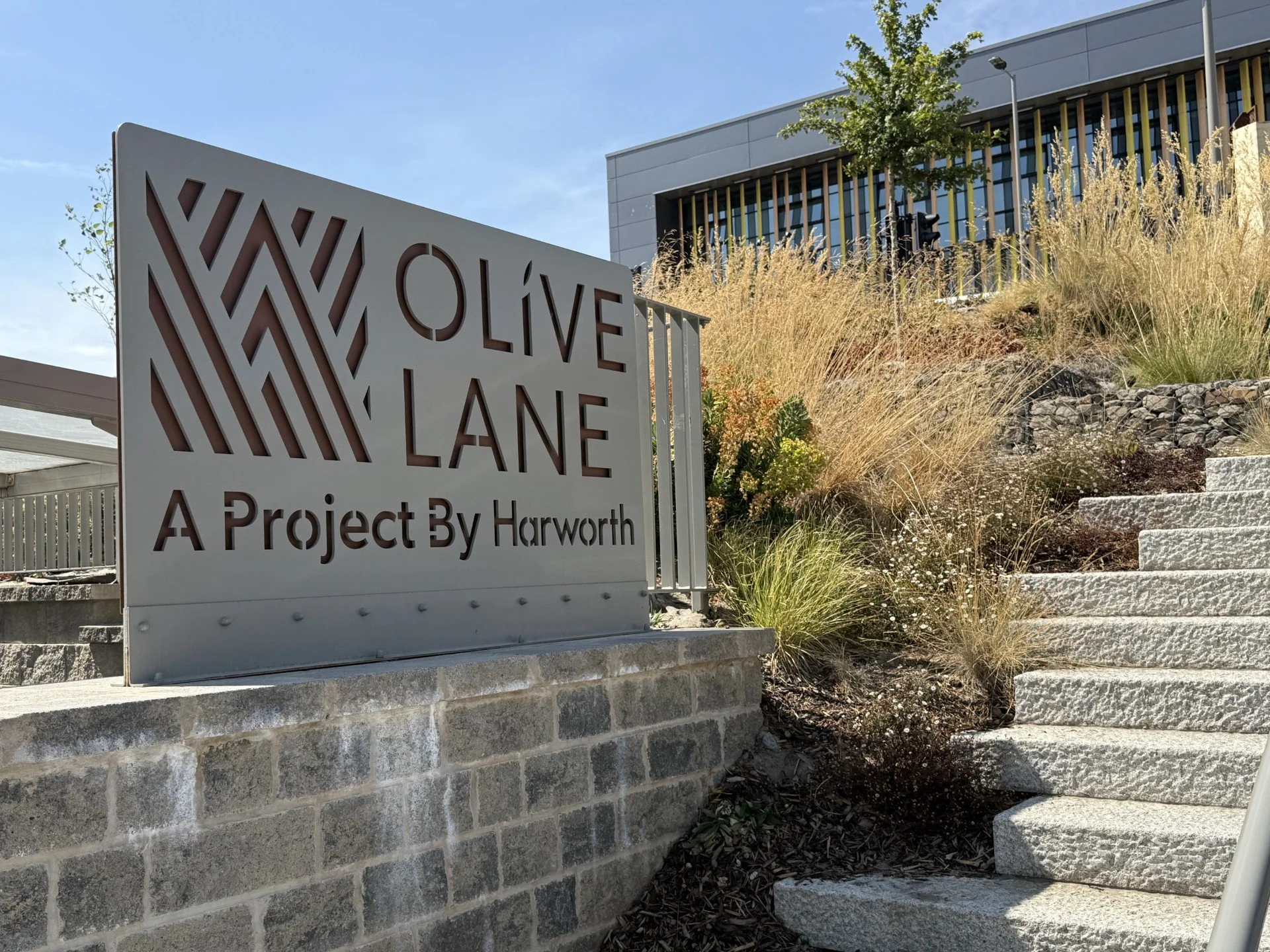Olive Lane_10.jpg