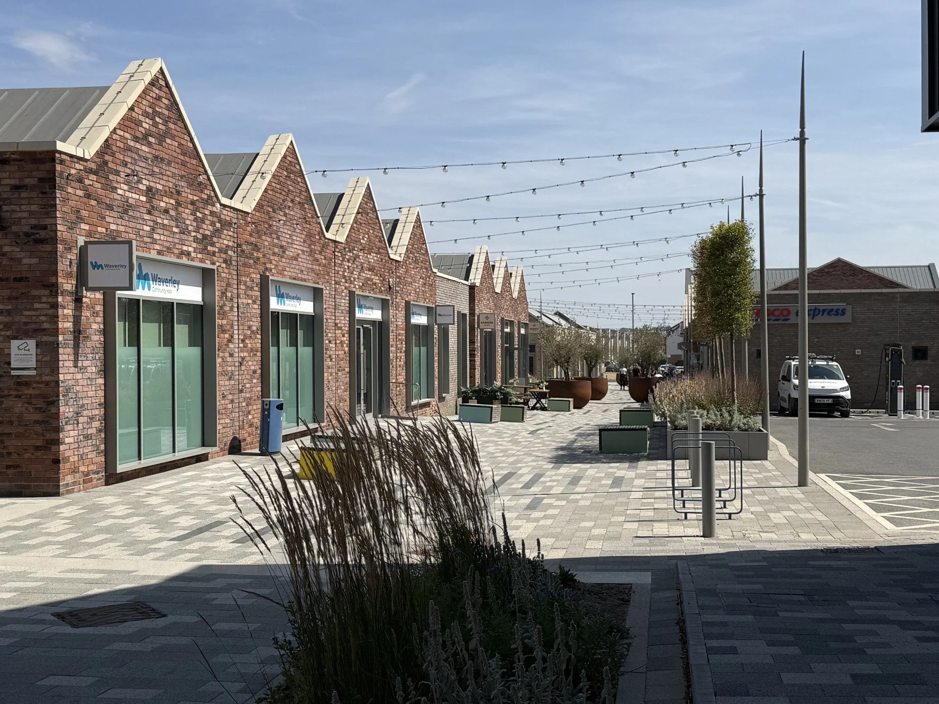Olive Lane_13.jpg